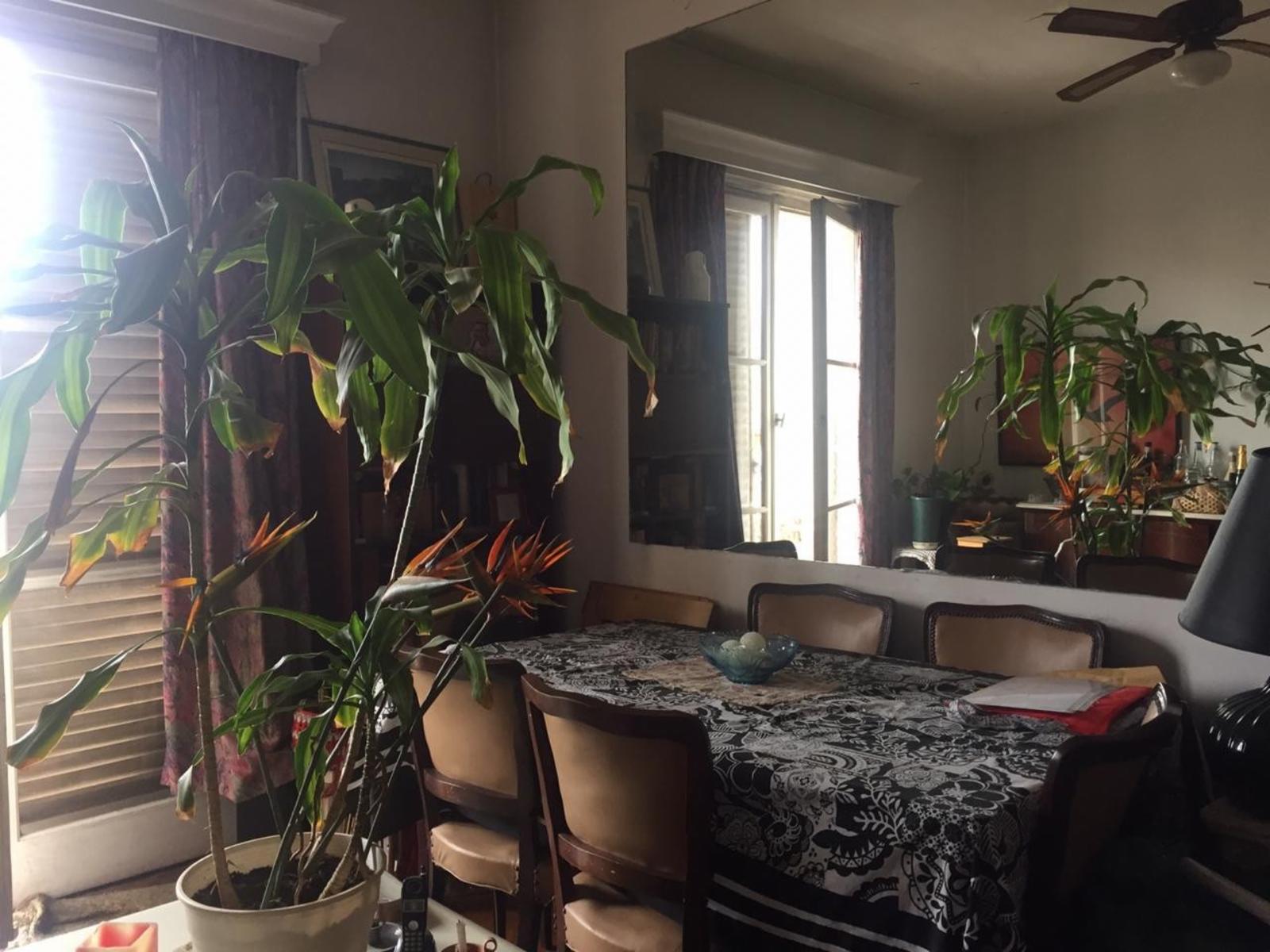 Excelente departamento de 3 ambientes en Montserrat — foto 4