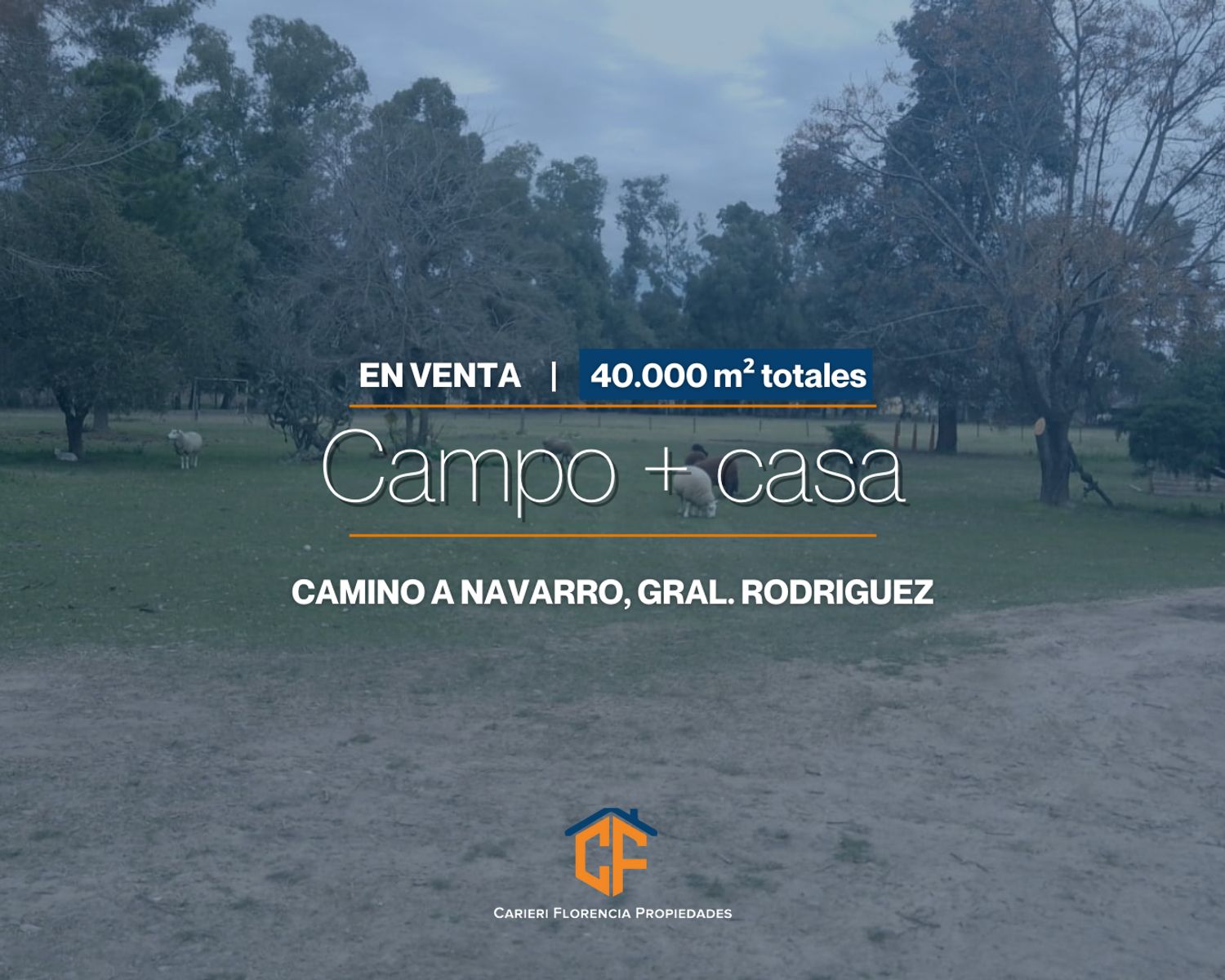 Venta De Casa + Campo En General Rodriguez