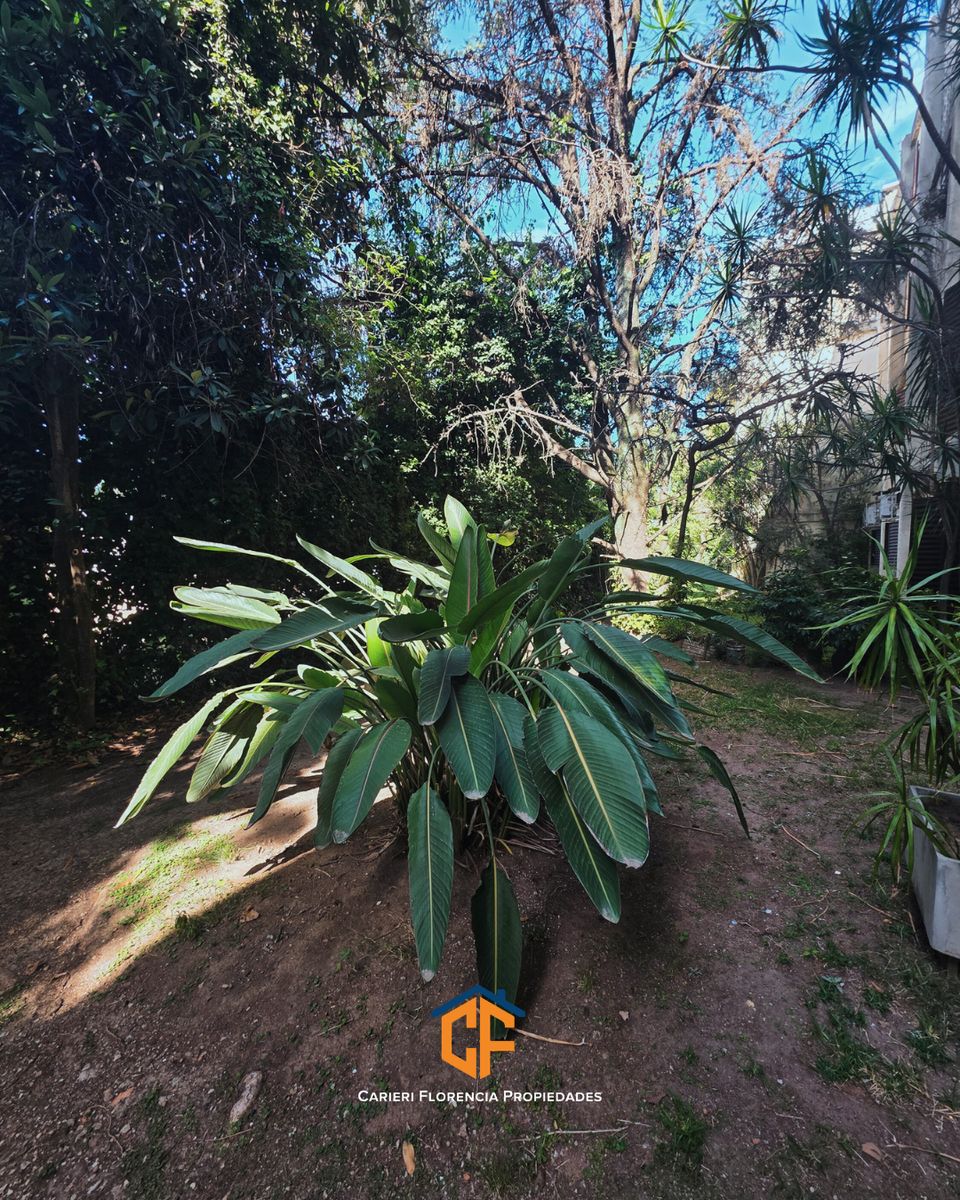 Venta De Departamento 4 Ambientes Con Cochera Libre Y Lavadero En San Martin - 22