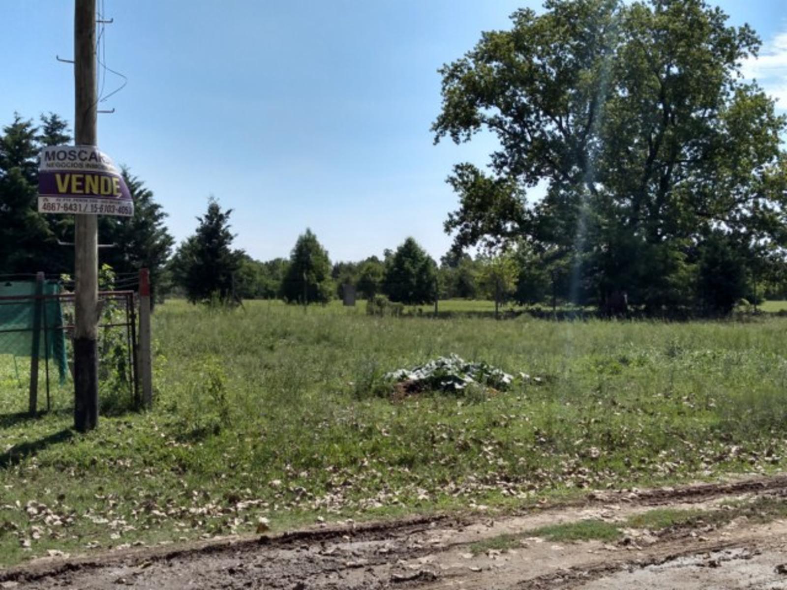 LOTE DE 450m2 EN PILAR — foto 5