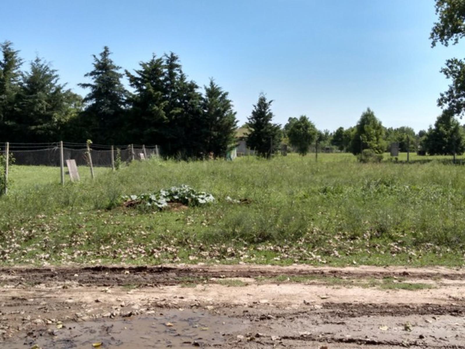 LOTE DE 450m2 EN PILAR — foto 6