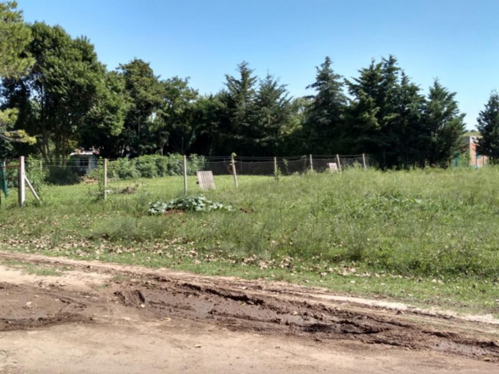 LOTE DE 450m2 EN PILAR — foto 7