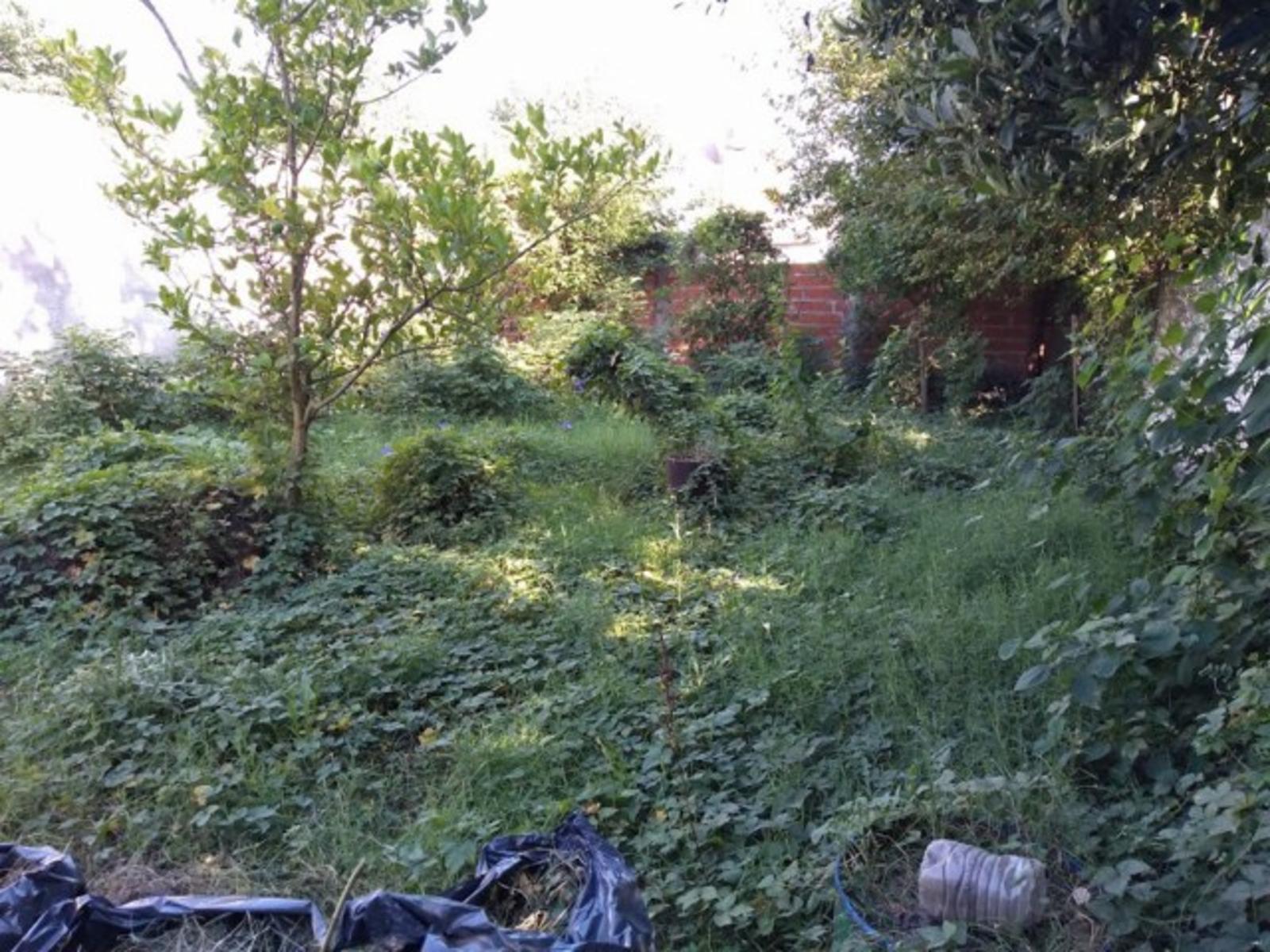 LOTE de 300 M2 CON MEJORAS - 3