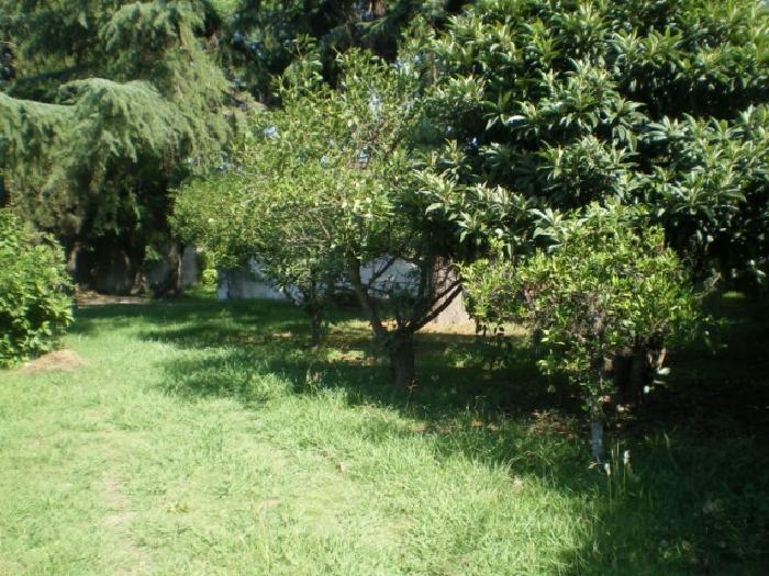 QUINTA EN JOSÉ C. PAZ - 4