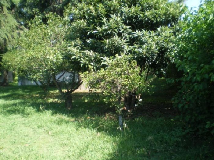 QUINTA EN JOSÉ C. PAZ - 5