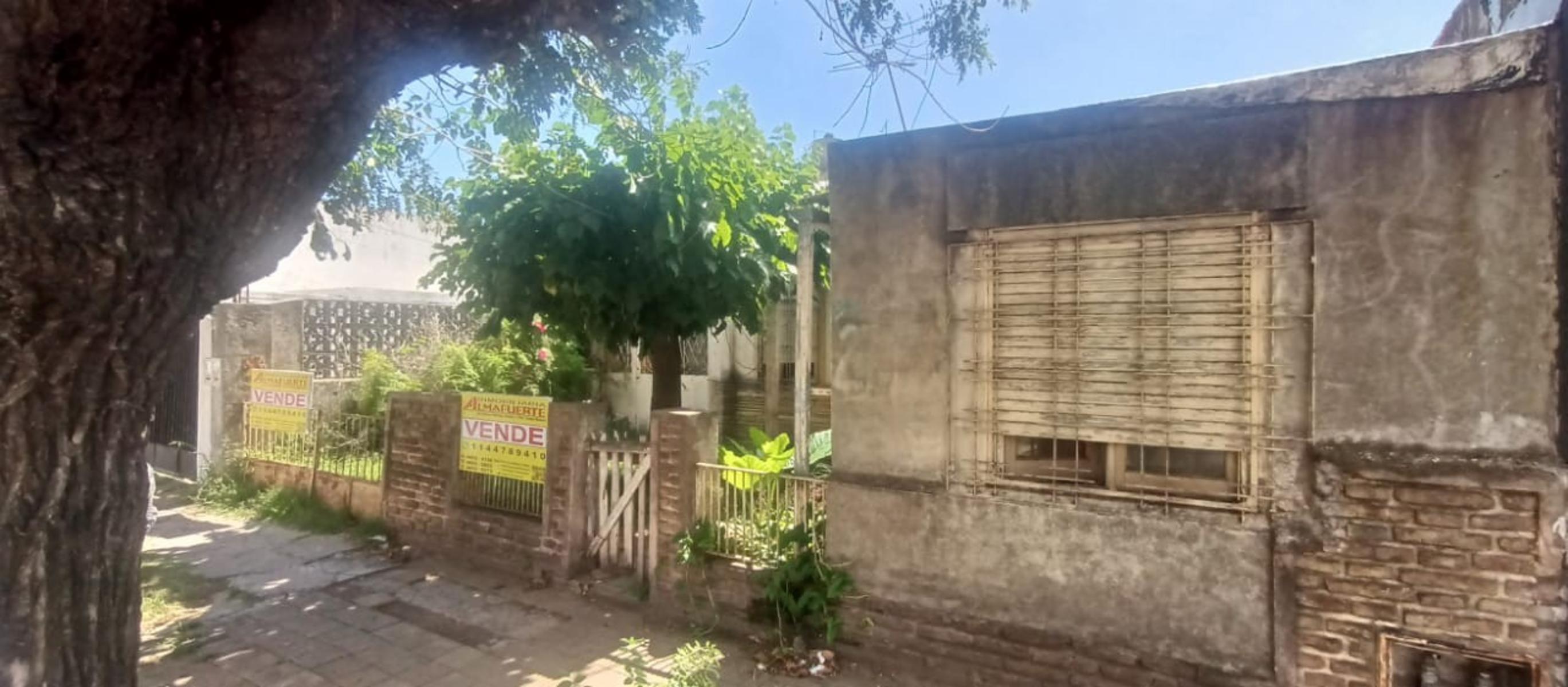 OPORTUNIDAD UNICA: LOTE DE 10 X 32 CON VIVIENDA A RECICLAR Y AMPLIO ESPACIO LIBRE — foto 3