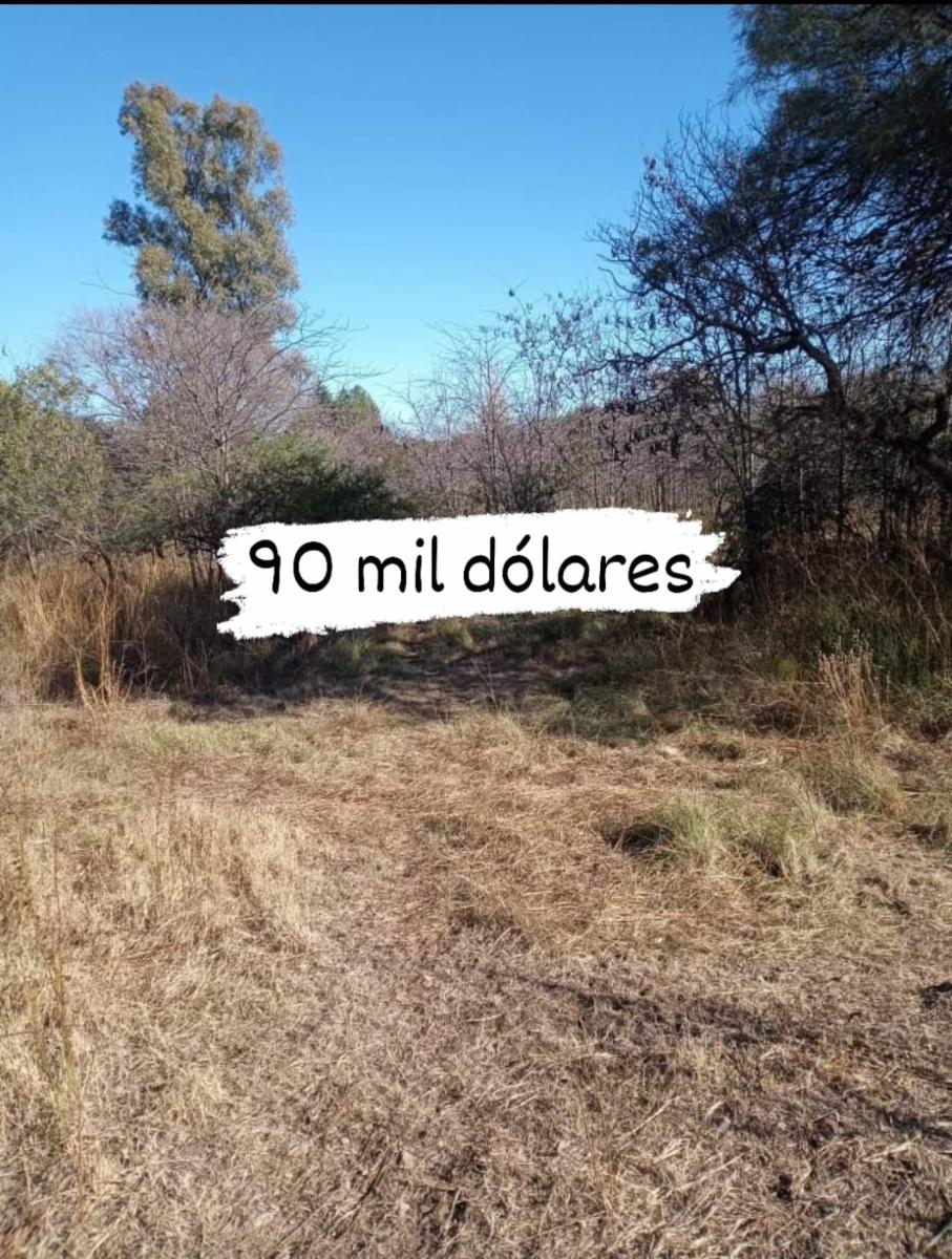 ATENCION INVERSIONISTAS CASA HABITABLE A RECICLAR CON UN IMPRESIONANTE LOTE DE 8500 M2 — foto 2