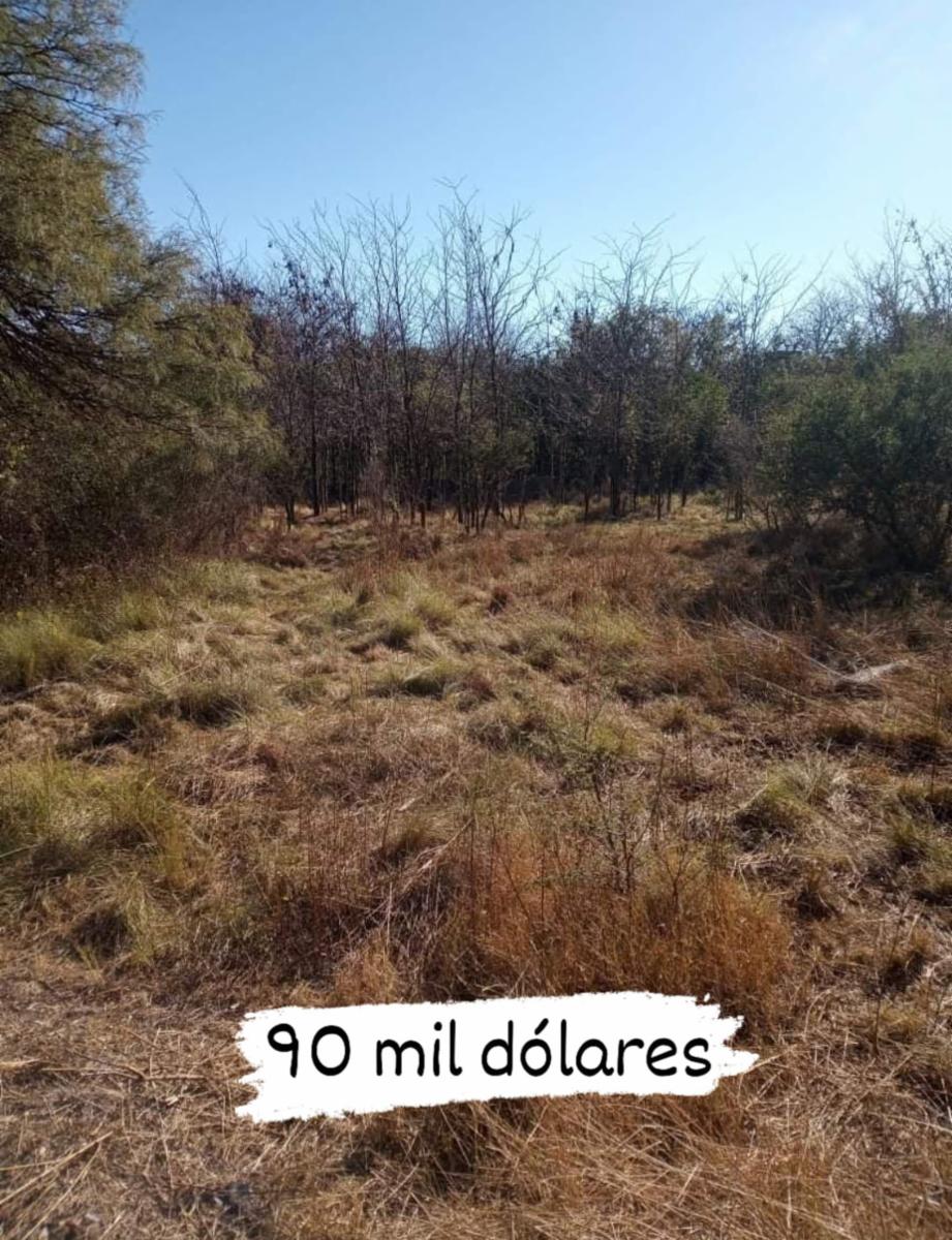 ATENCION INVERSIONISTAS CASA HABITABLE A RECICLAR CON UN IMPRESIONANTE LOTE DE 8500 M2 — foto 4