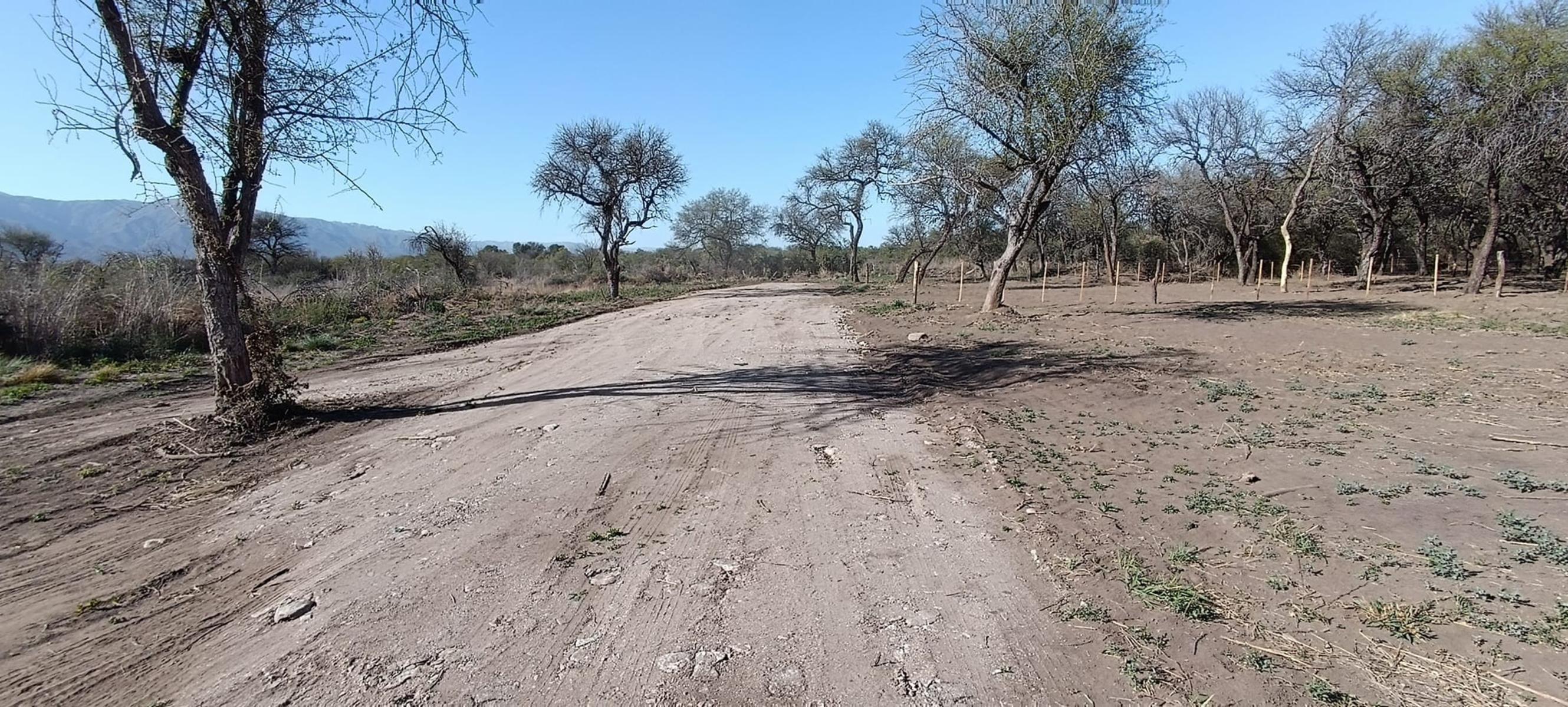 PREVENTA LOTEO LA AURELIA, CARPINTERIA, MERLO, SAN LUIS — foto 3