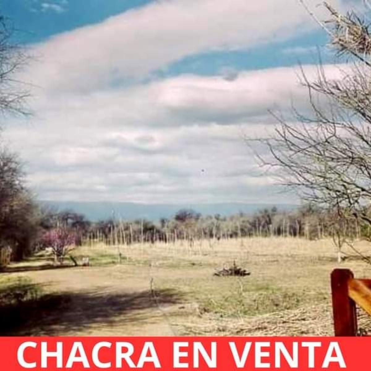 CHACRA EN VENTA EN SANTA ROSA DEL VALLE DEL CONLARA, SAN LUIS - 4