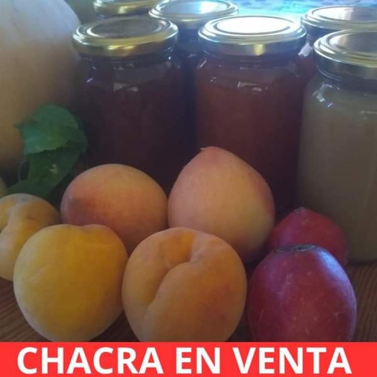 CHACRA EN VENTA EN SANTA ROSA DEL VALLE DEL CONLARA, SAN LUIS - 11