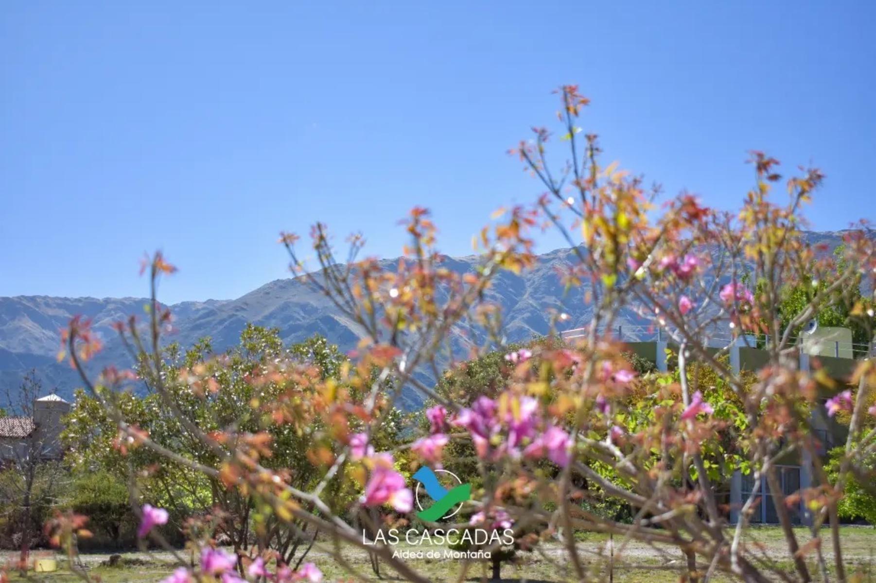 VENTA DE LOTE EN COUNTRY LAS CASCADAS, CARPNTERIA, MERLO, SAN LUIS — foto 2