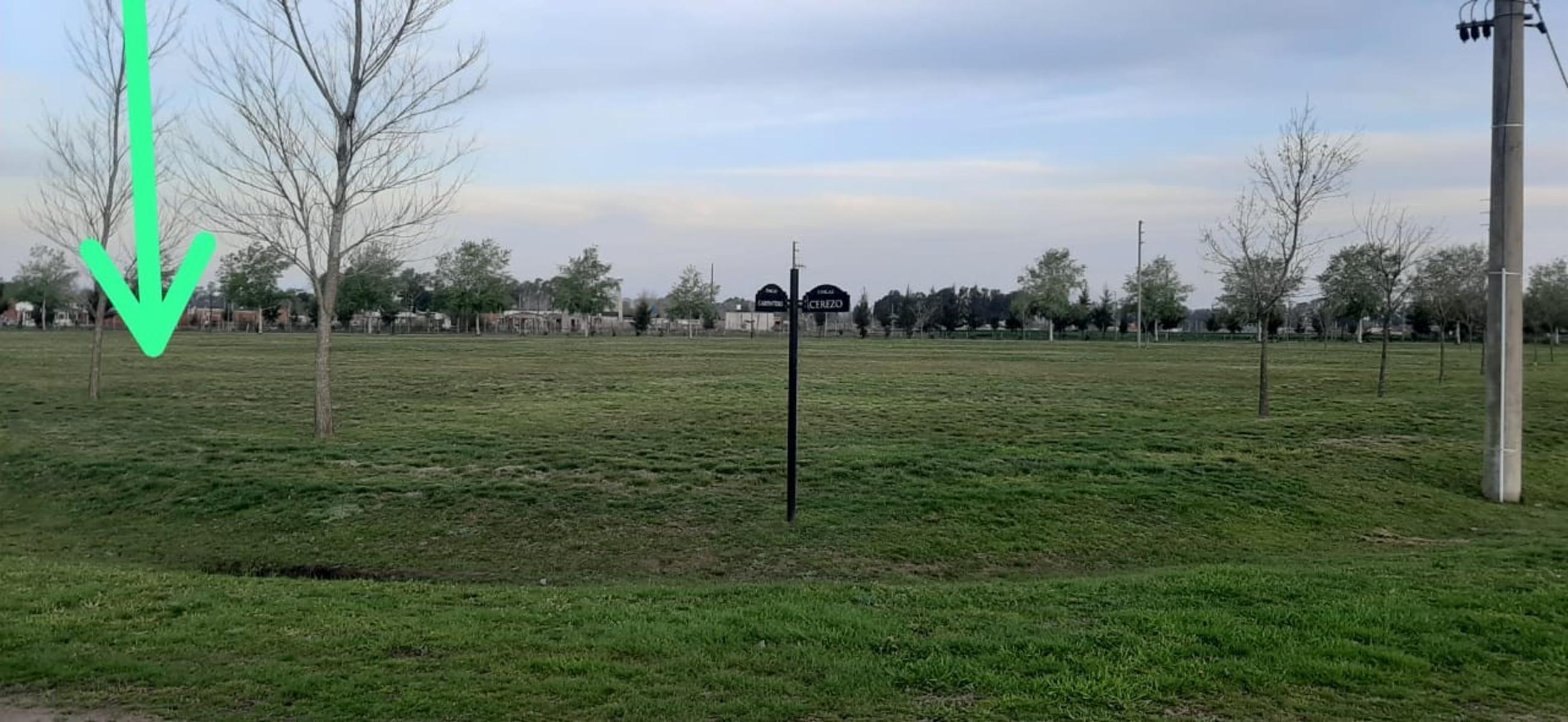 LOTE EN VENTA FINCAS DE SAN VICENTE SPORTING CLUB — foto 15