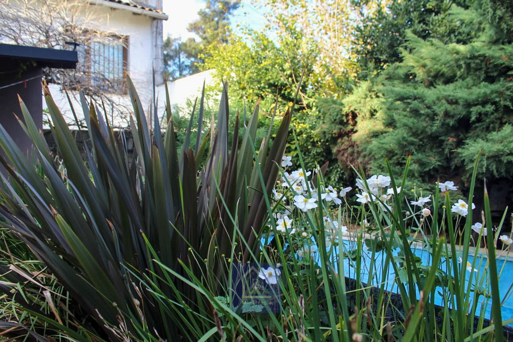 APTA CRÉDITO | Excelente casa de categoría con parque y piscina | Ituzaingó - 21