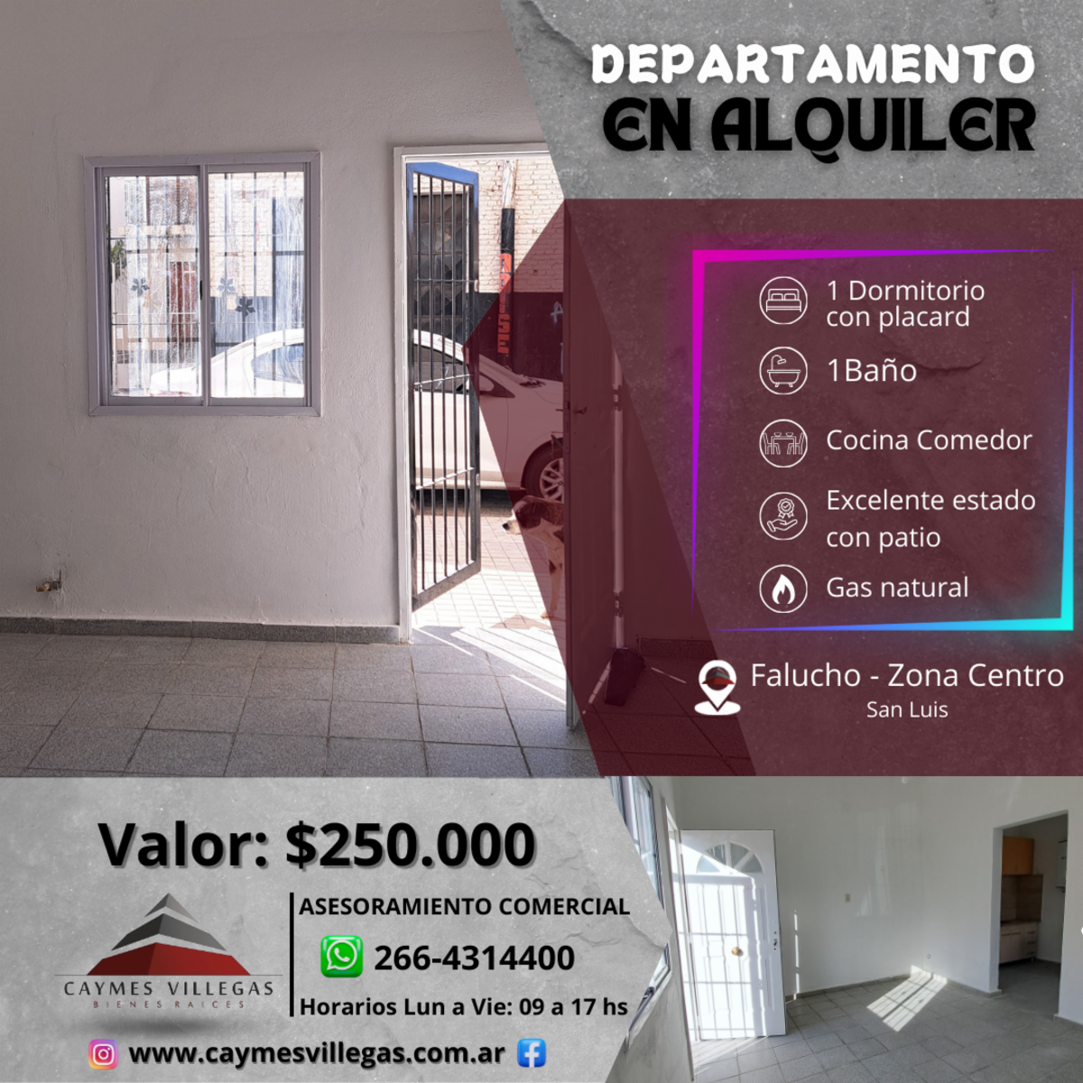 Departamento remodelado a nuevo, de 1 dormitorio en alquiler - Zona Céntrica - 1