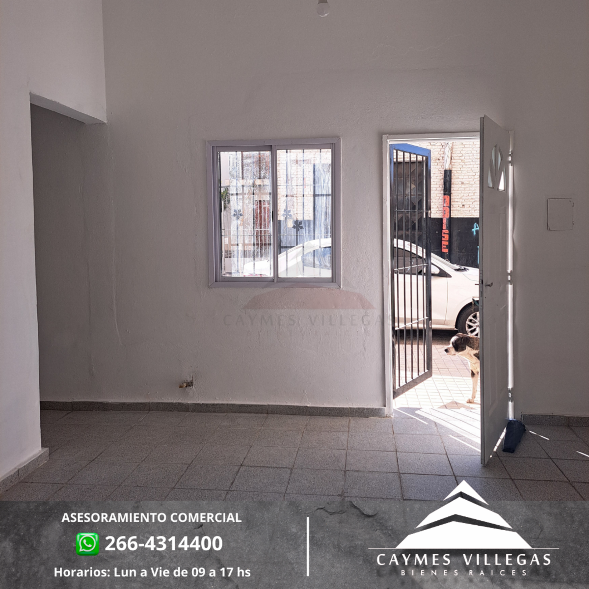 Departamento remodelado a nuevo, de 1 dormitorio en alquiler - Zona Céntrica - 8