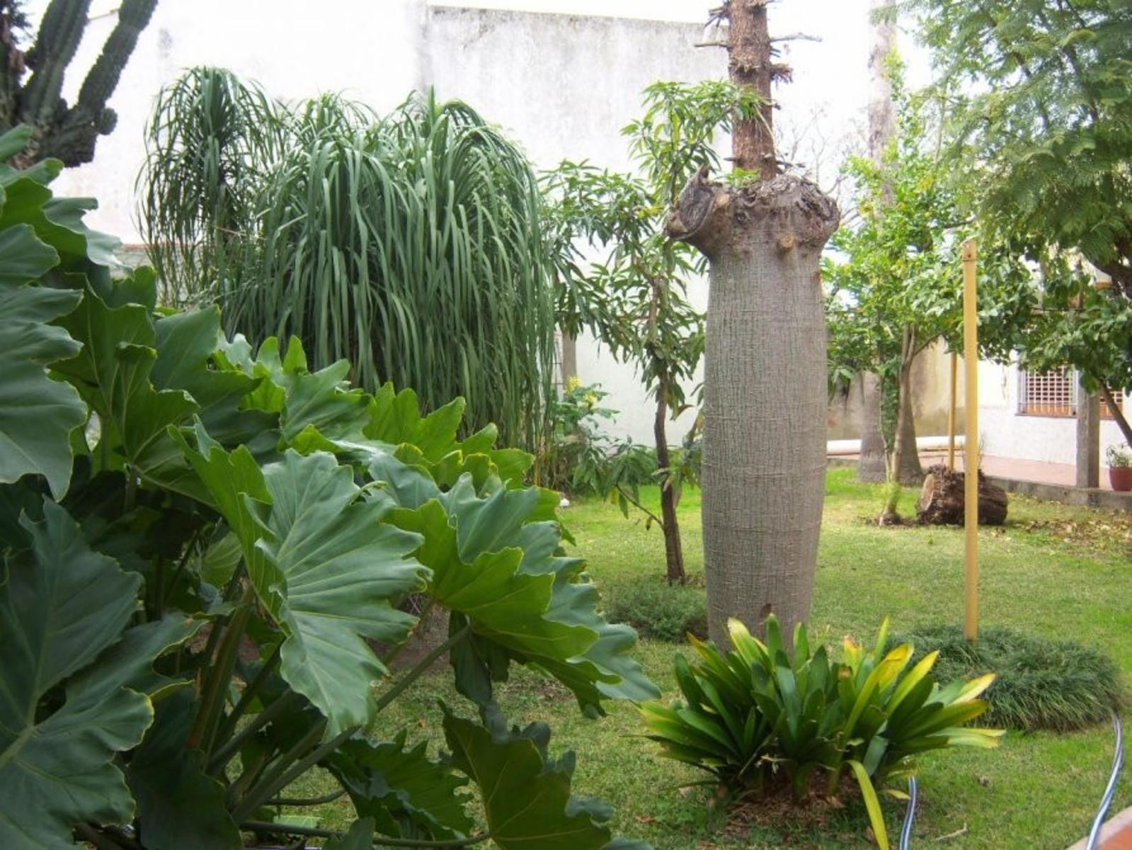 Casa de 4 Ambientes C/pque. Permuta. &quotSUSPENDIDA&quot — foto 5