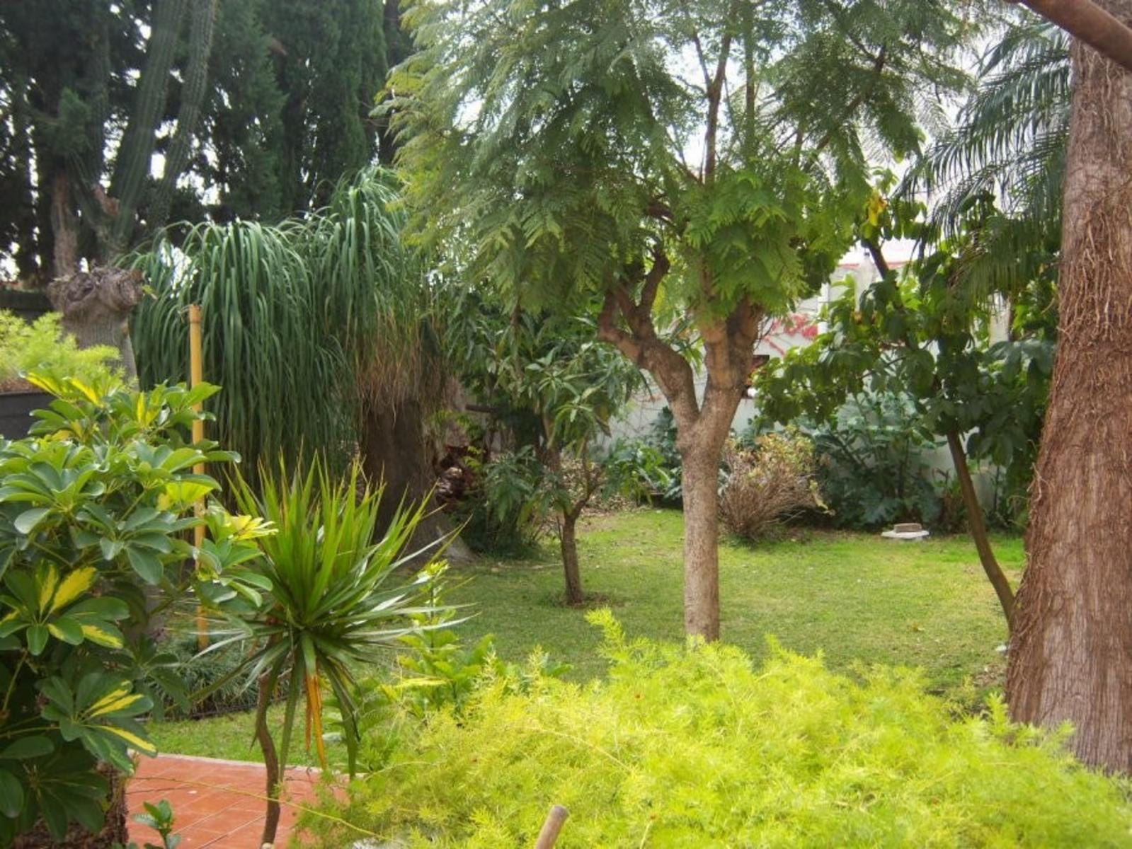 Casa de 4 Ambientes C/pque. Permuta. &quotSUSPENDIDA&quot — foto 7