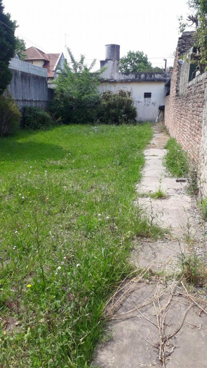 Lote 8,66 X 43 con 2 Locales y Vivienda — foto 5