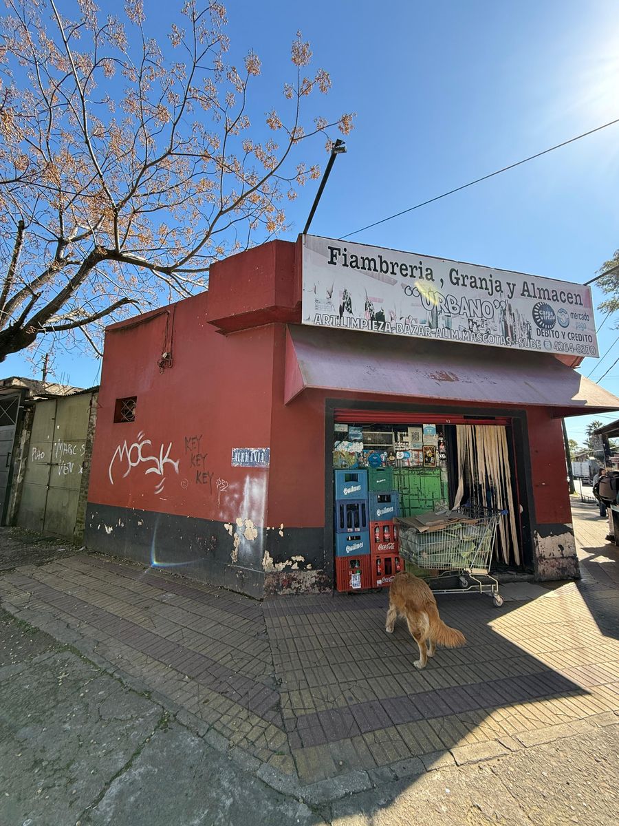 VIVIENDA CON LOCALES SOBRE LOTE EN ESQUINA DE 10X25. — foto 3