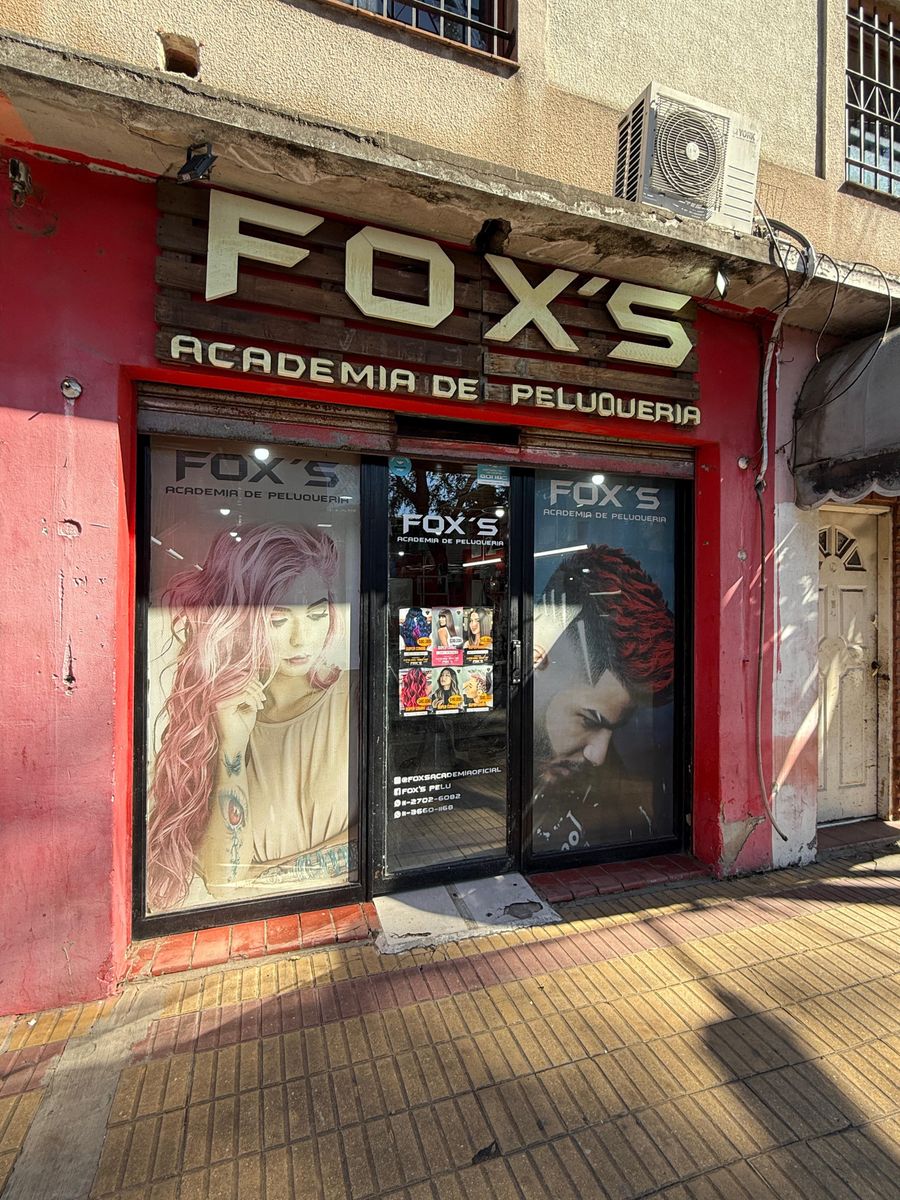 VIVIENDA CON LOCALES SOBRE LOTE EN ESQUINA DE 10X25. — foto 10