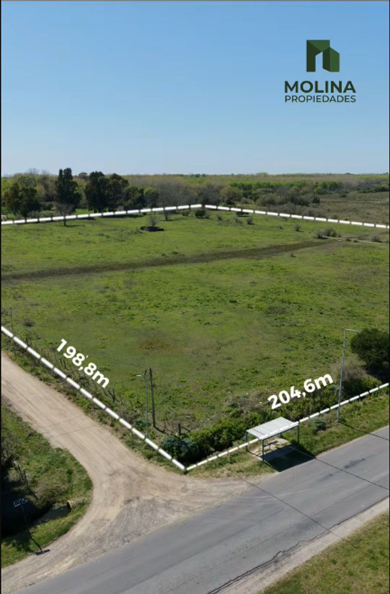 3.8 Hectáreas en venta - 4