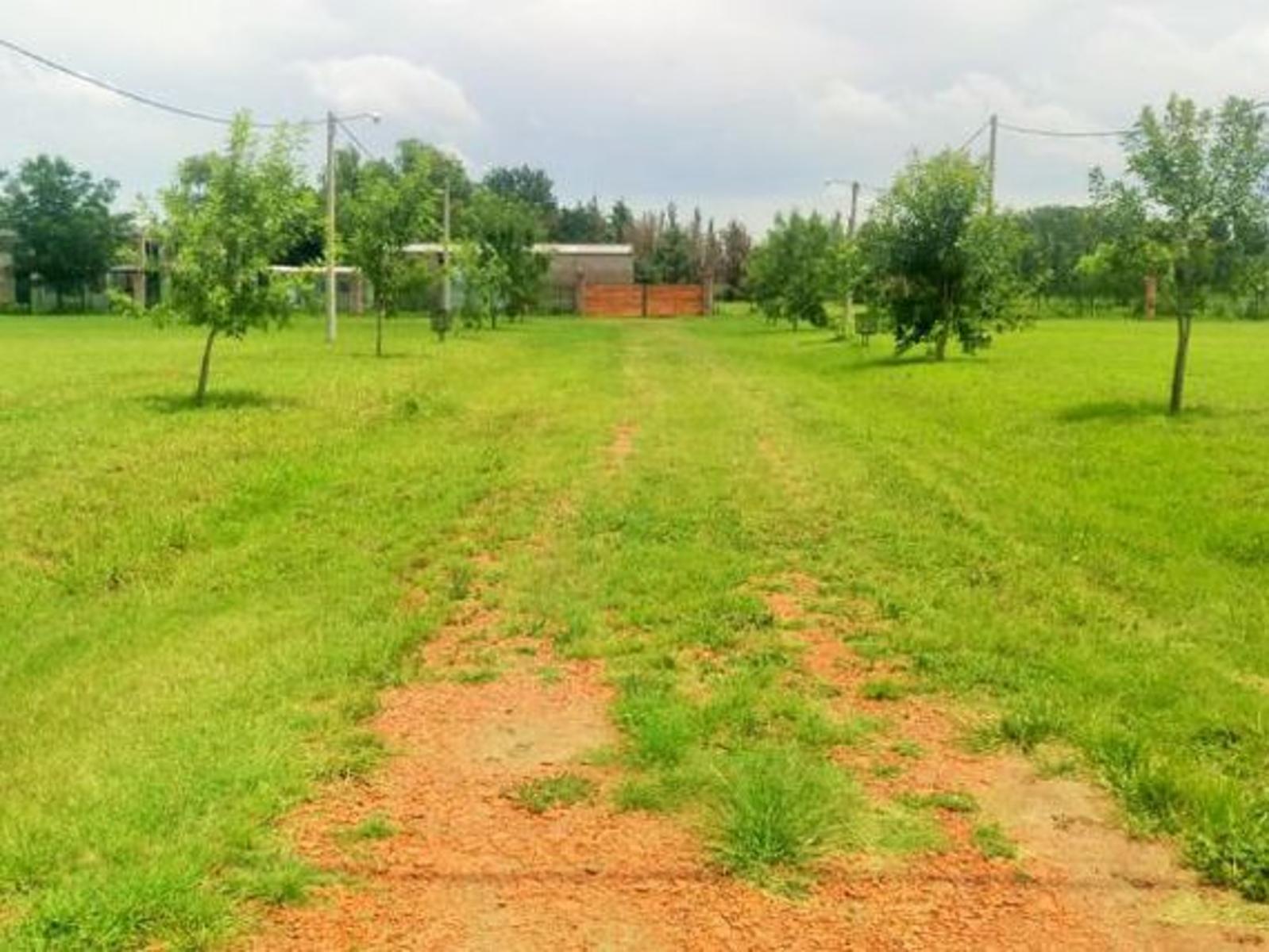 Ibarlucea: Alfredo Schilla 2200 - Barrio abierto Don Hector - Lotesdesde430 m2, Santa Fe Argentina — foto 9
