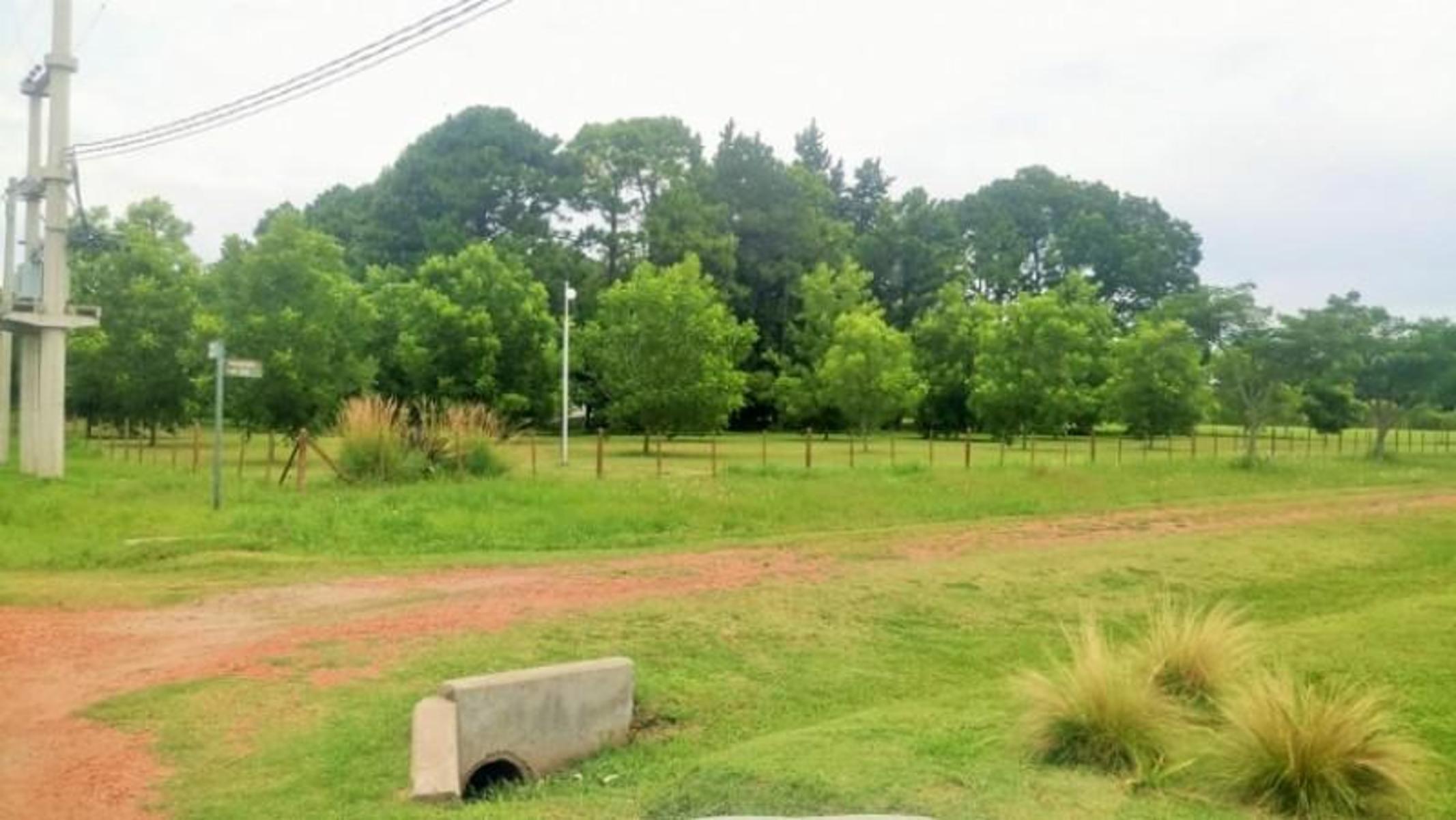 Ibarlucea: Alfredo Schilla 2200 - Barrio abierto Don Hector - Lotesdesde430 m2, Santa Fe Argentina — foto 12