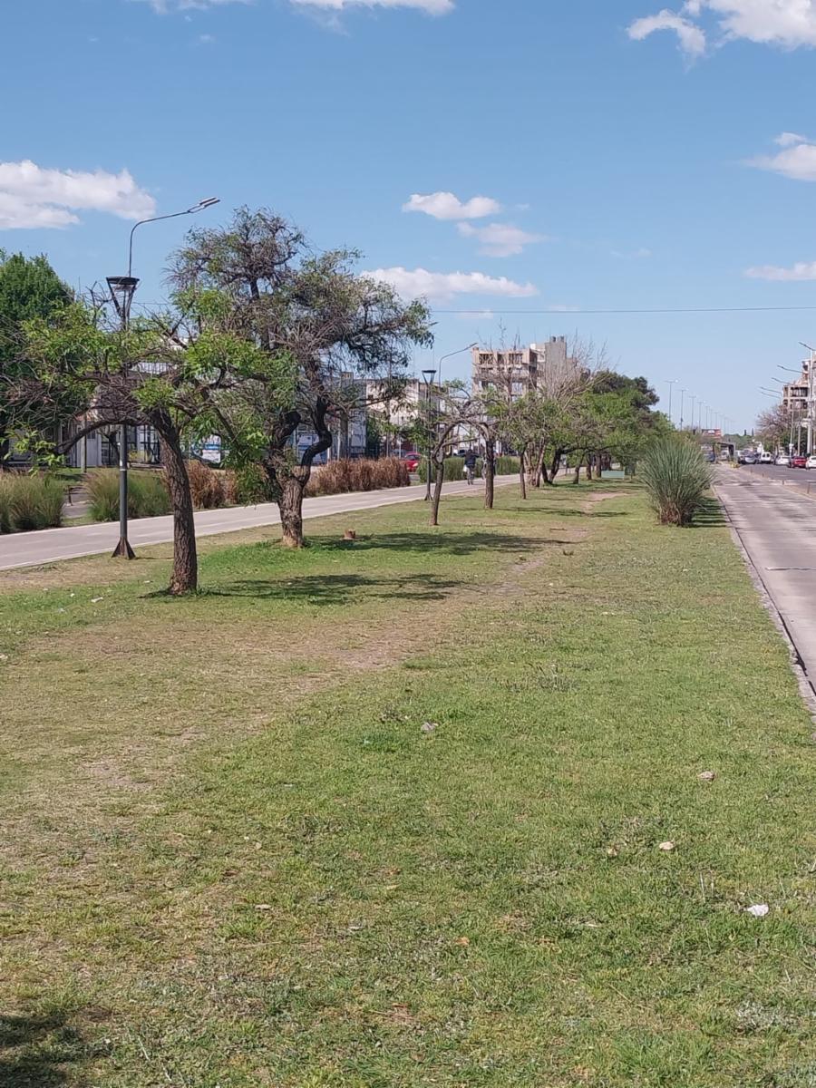 PRE-VENTA #TORRES COLIBRIES#. INMEJORABLE UBICACION. DOS AMBIENTES CONTRAFRENTE — foto 2