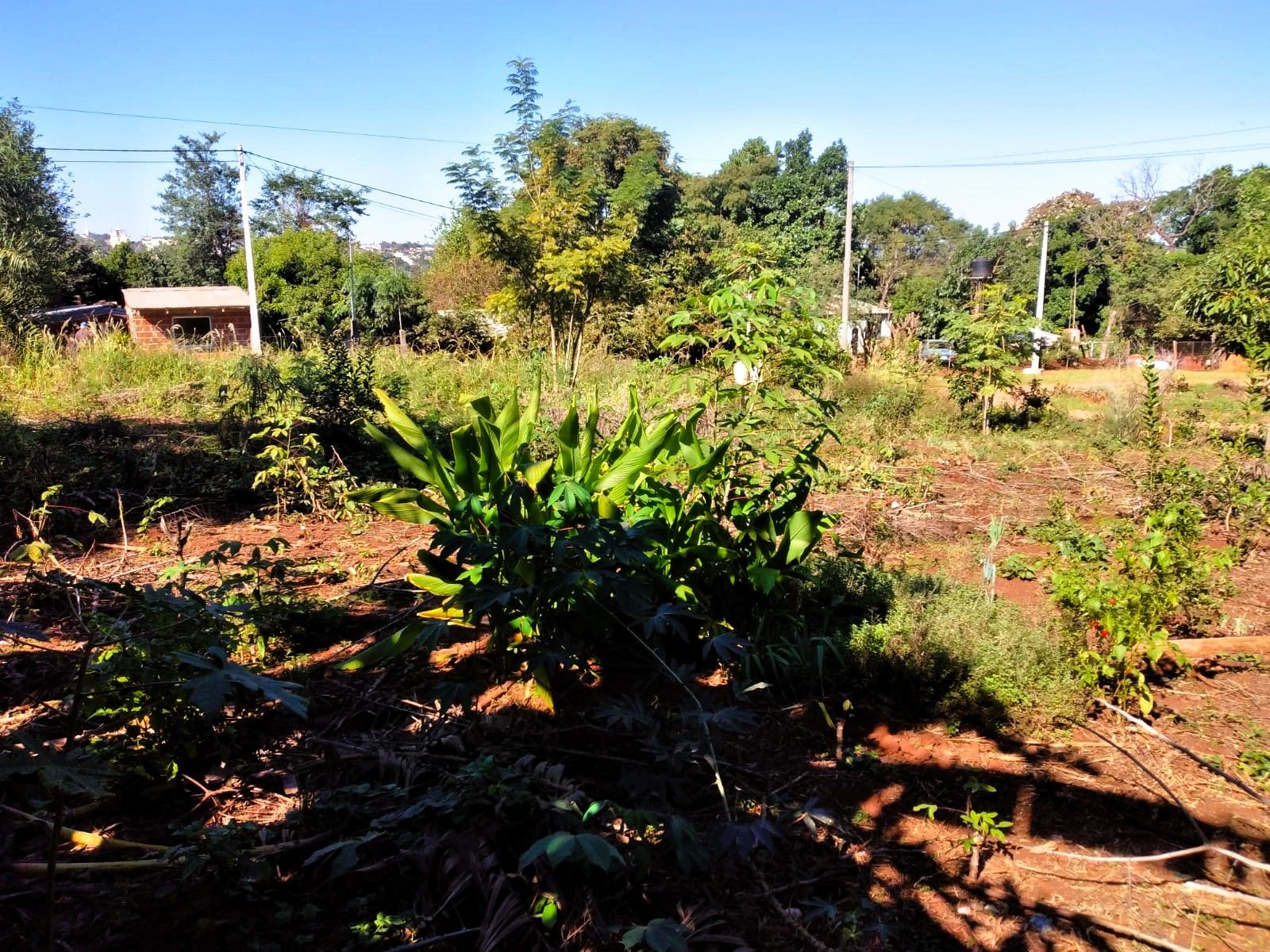 Terreno En Esquina Venta Punta Alta Oberá 408m2 Apto Crédito - 3