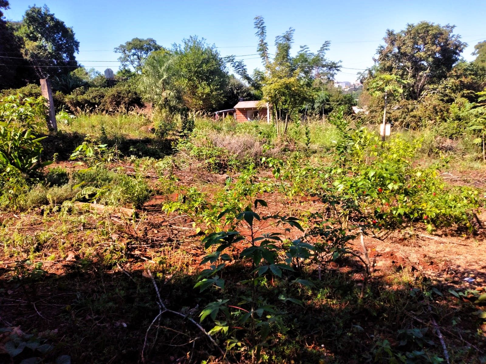 Terreno En Esquina Venta Punta Alta Oberá 408m2 Apto Crédito - 6