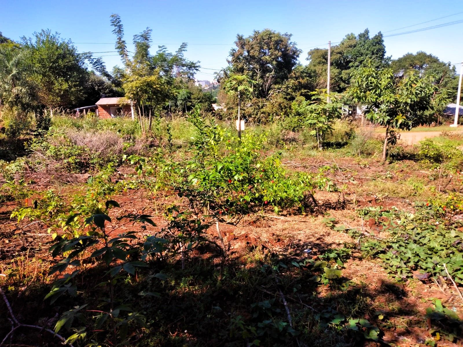 Terreno En Esquina Venta Punta Alta Oberá 408m2 Apto Crédito - 7