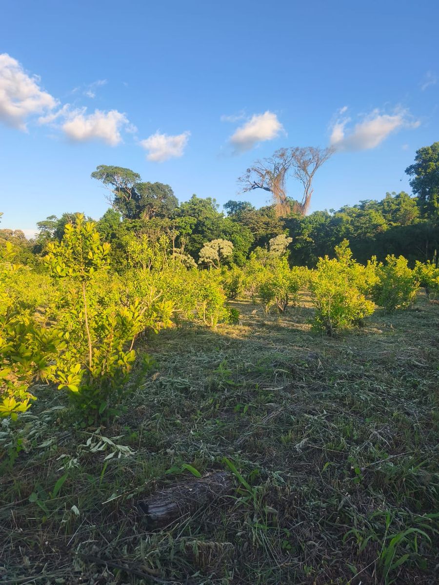 Terreno 816m2 Venta Villa Bárbaro Oberá Distrito Turístico Dr2m - 2
