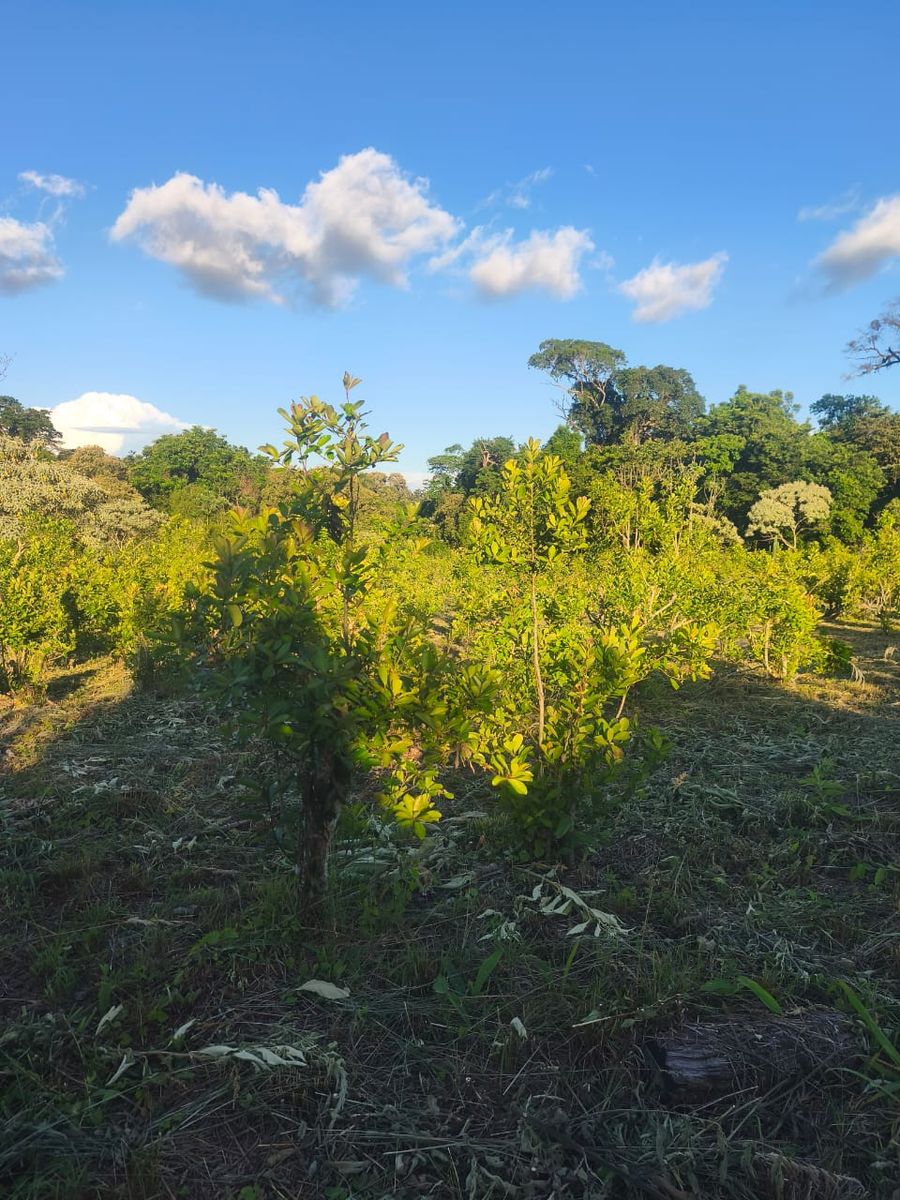 Terreno 816m2 Venta Villa Bárbaro Oberá Distrito Turístico Dr2m - 3
