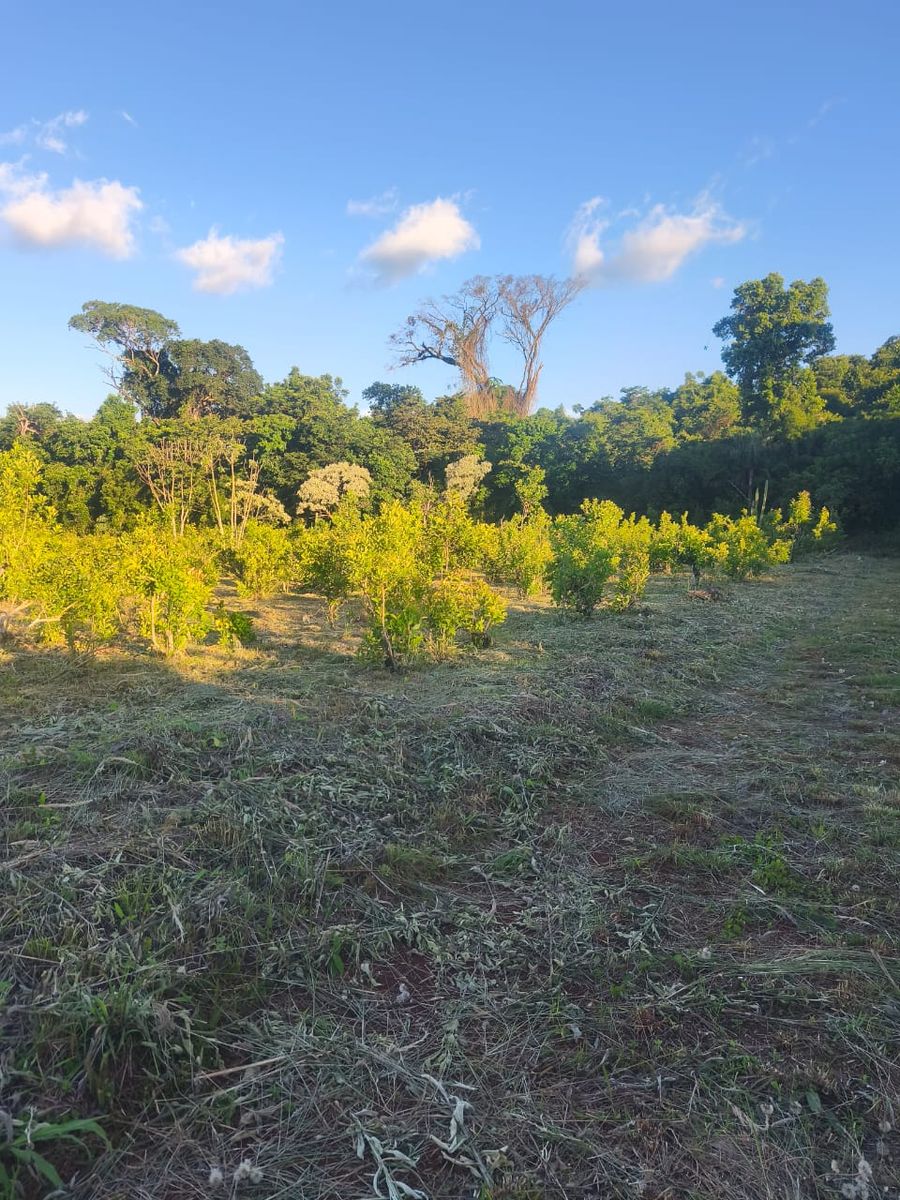 Terreno 816m2 Venta Villa Bárbaro Oberá Distrito Turístico Dr2m - 4