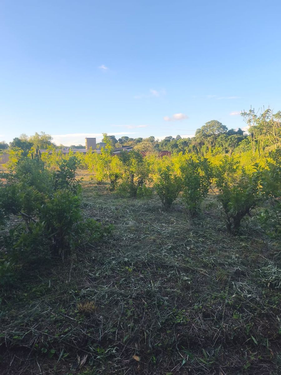 Terreno 816m2 Venta Villa Bárbaro Oberá Distrito Turístico Dr2m - 5