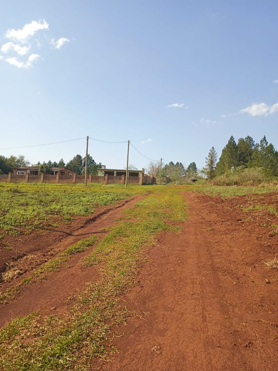 Terreno Venta Campo Ramón Ruta 103 438m2 Oberá Apto Crédito - 2