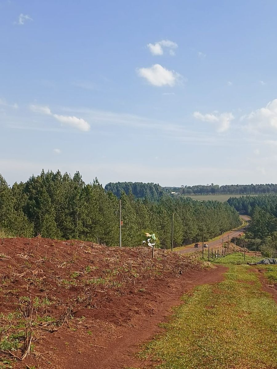 Terreno Venta Campo Ramón Ruta 103 438m2 Oberá Apto Crédito - 3