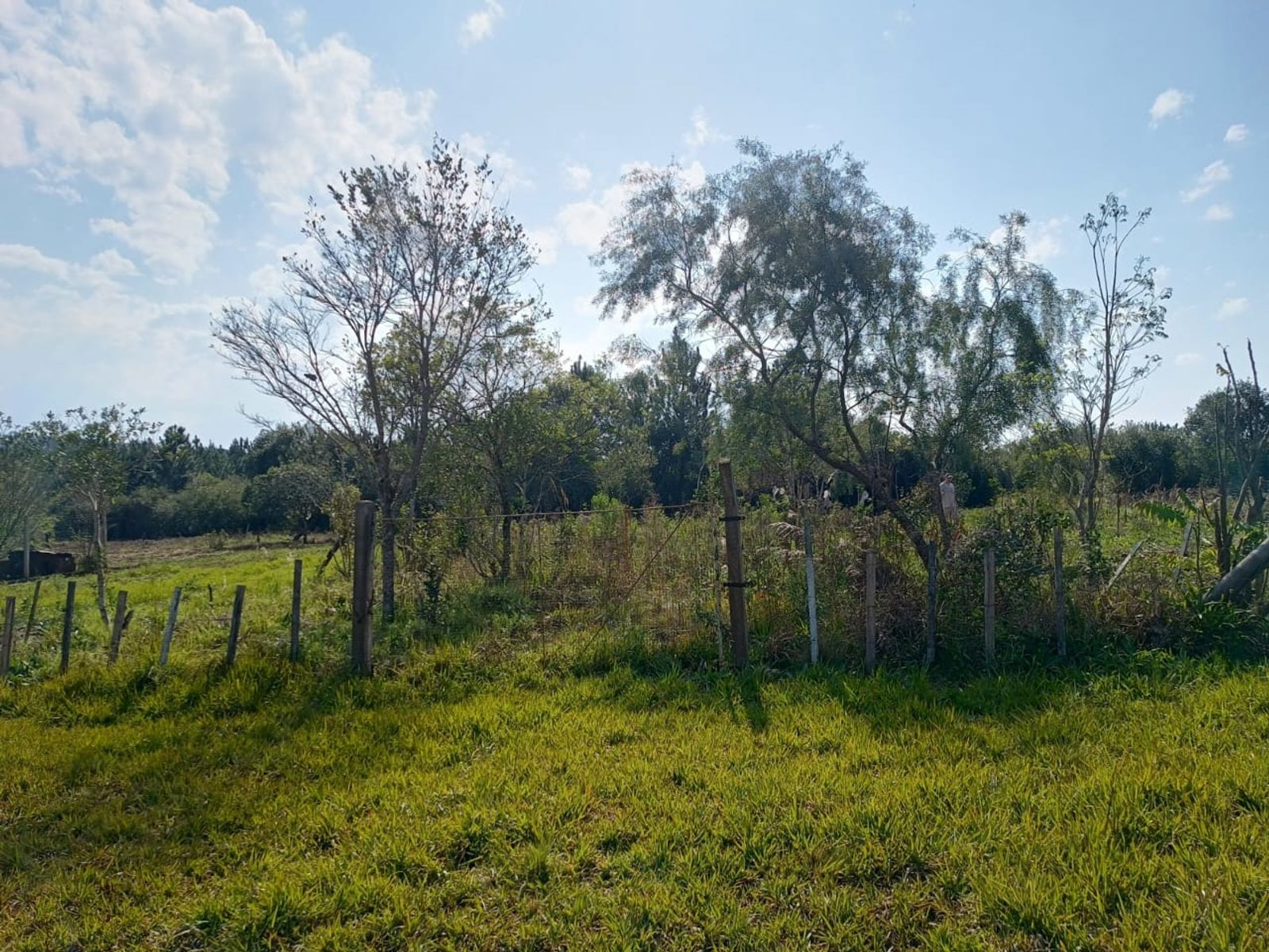 Terreno Venta Campo Ramón Ruta 103 438m2 Oberá Apto Crédito - 5
