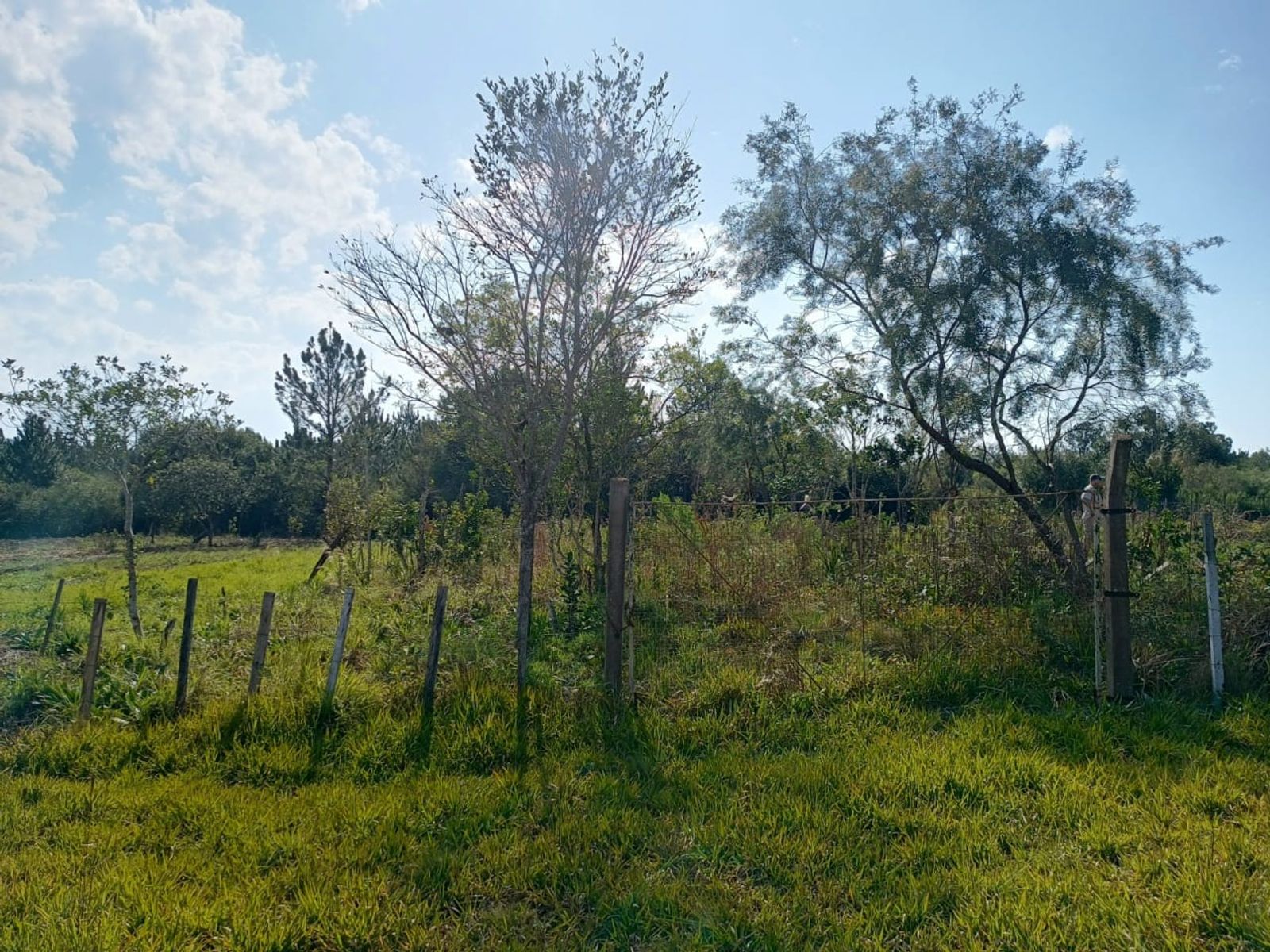 Terreno Venta Campo Ramón Ruta 103 438m2 Oberá Apto Crédito - 6