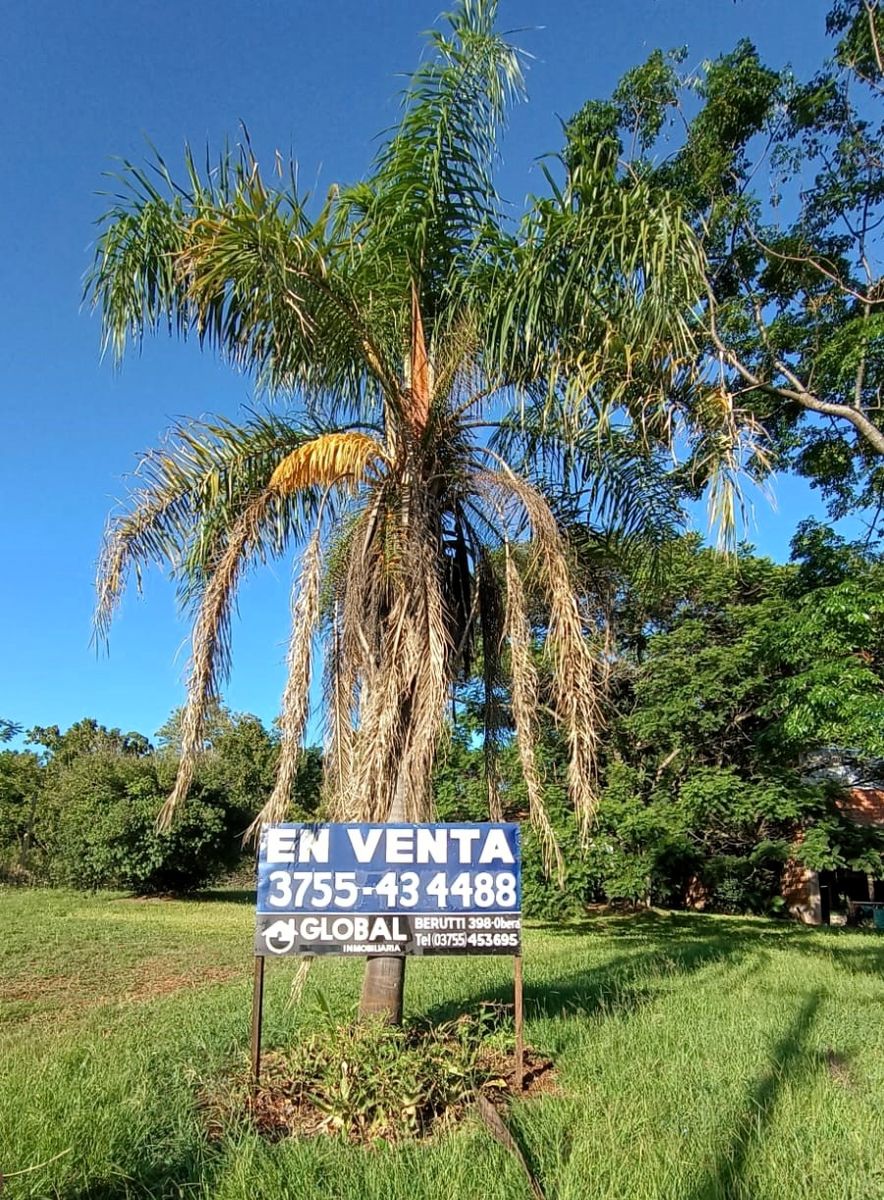 Venta de Casa Quinta en Oberá, Misiones 4700m² sobre Ruta 103 - 5