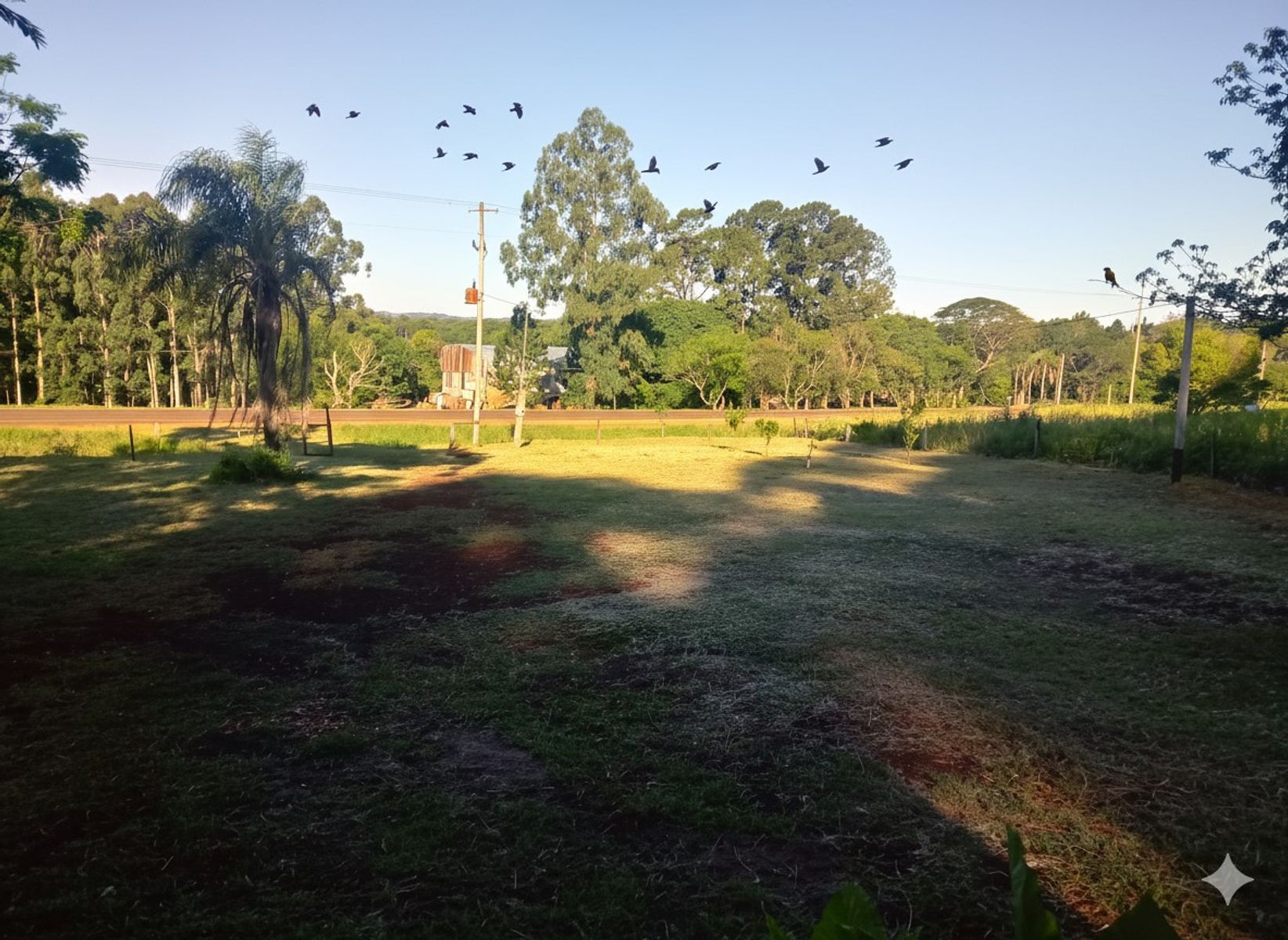 Venta de Casa Quinta en Oberá, Misiones 4700m² sobre Ruta 103 - 13