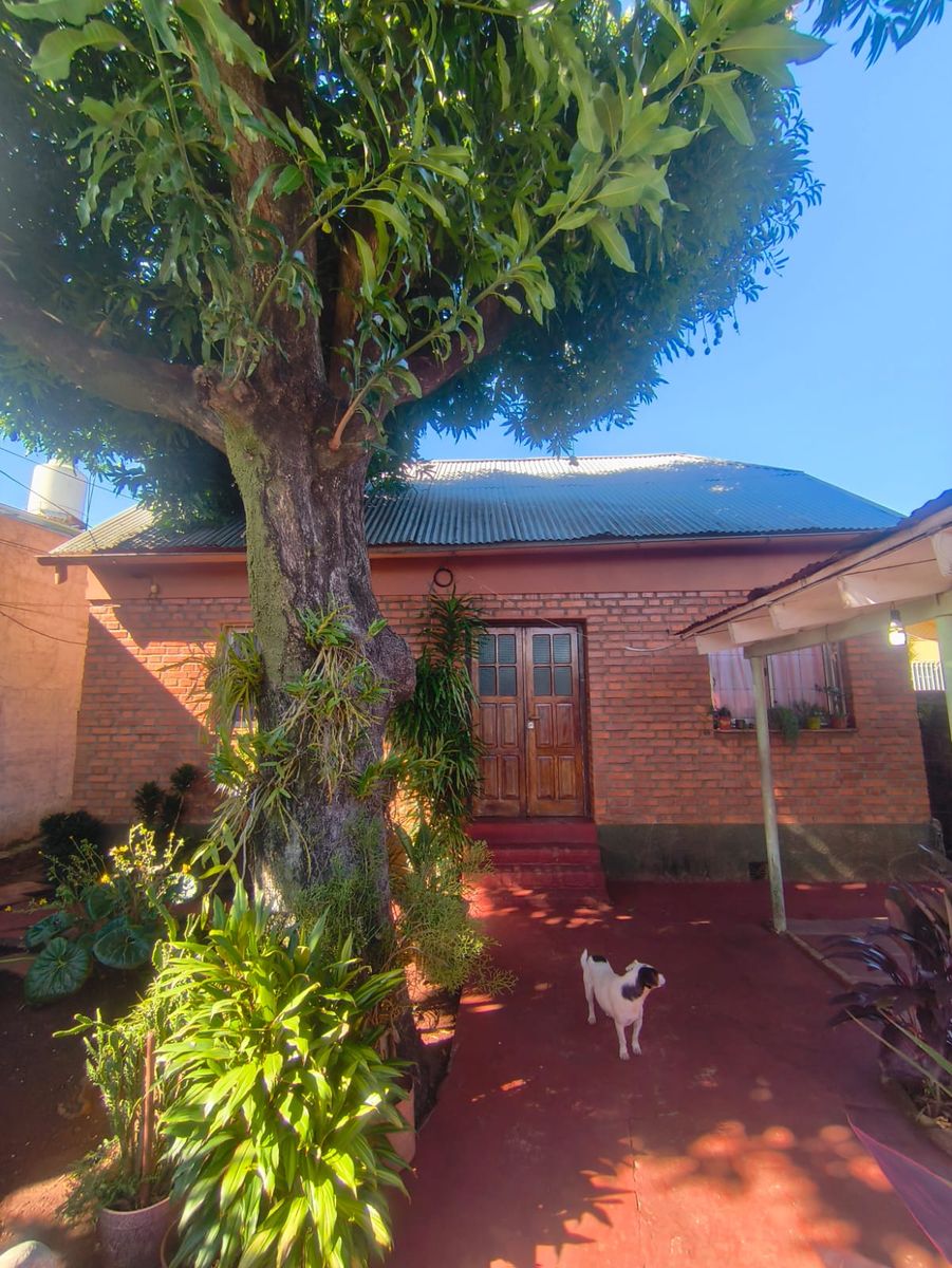 Terreno En Venta En Oberá Misiones 500m2 Sargento Cabral - 8