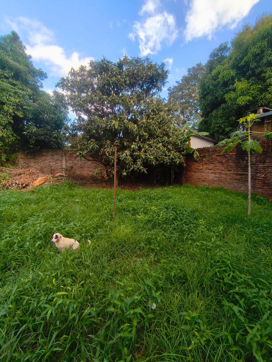 Terreno En Venta En Oberá Misiones 500m2 Sargento Cabral - 12