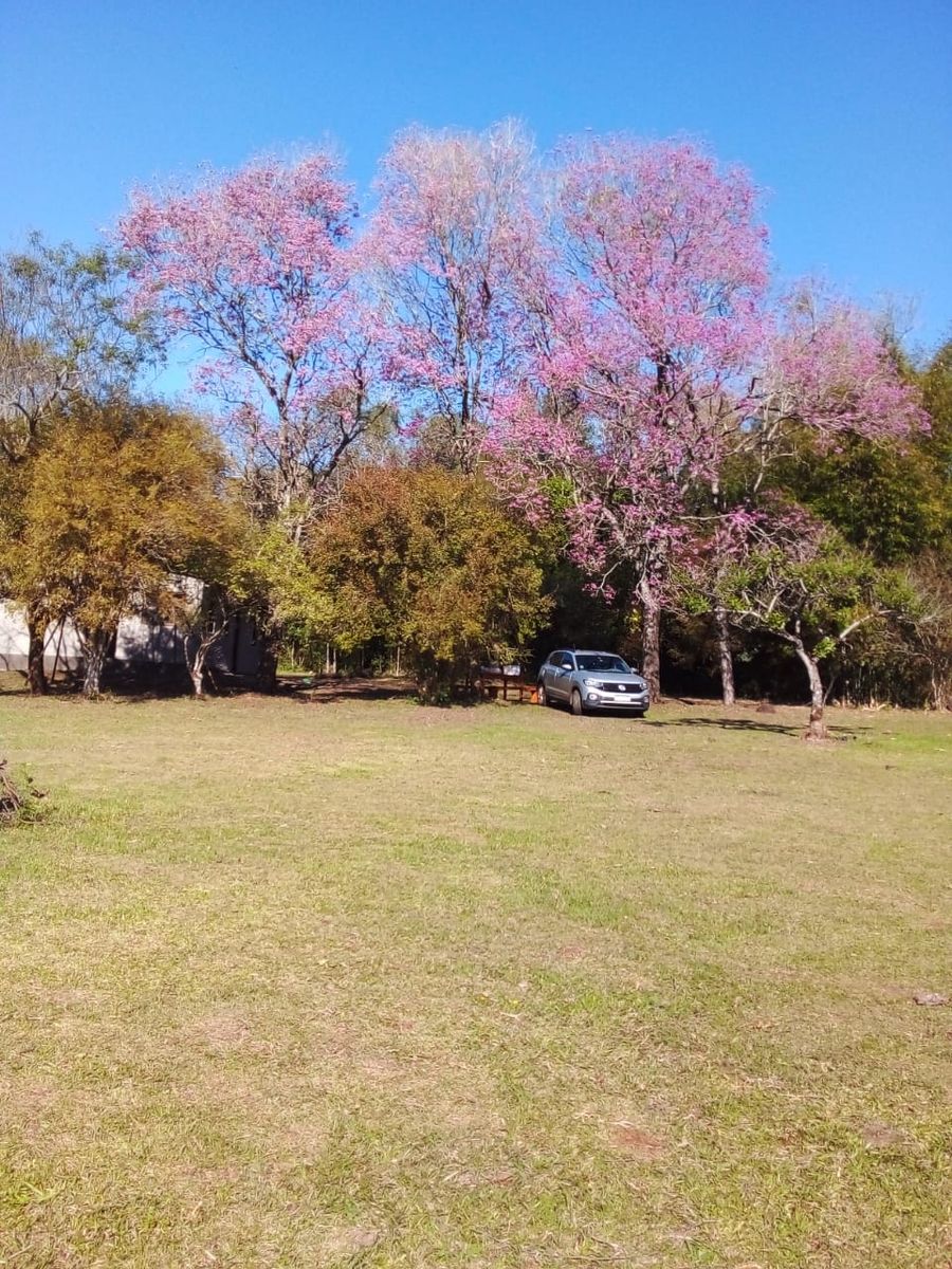 Venta de Campo de 25 Hectáreas en San José, Misiones Con Casa y Arroyo - 4