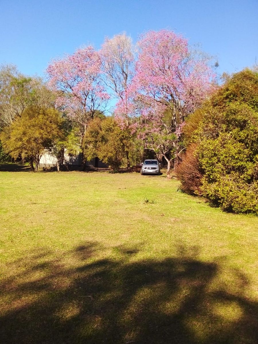 Venta de Campo de 25 Hectáreas en San José, Misiones Con Casa y Arroyo - 5