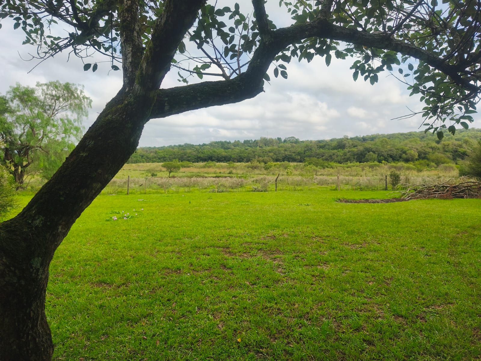 Venta de Campo de 25 Hectáreas en San José, Misiones Con Casa y Arroyo - 6