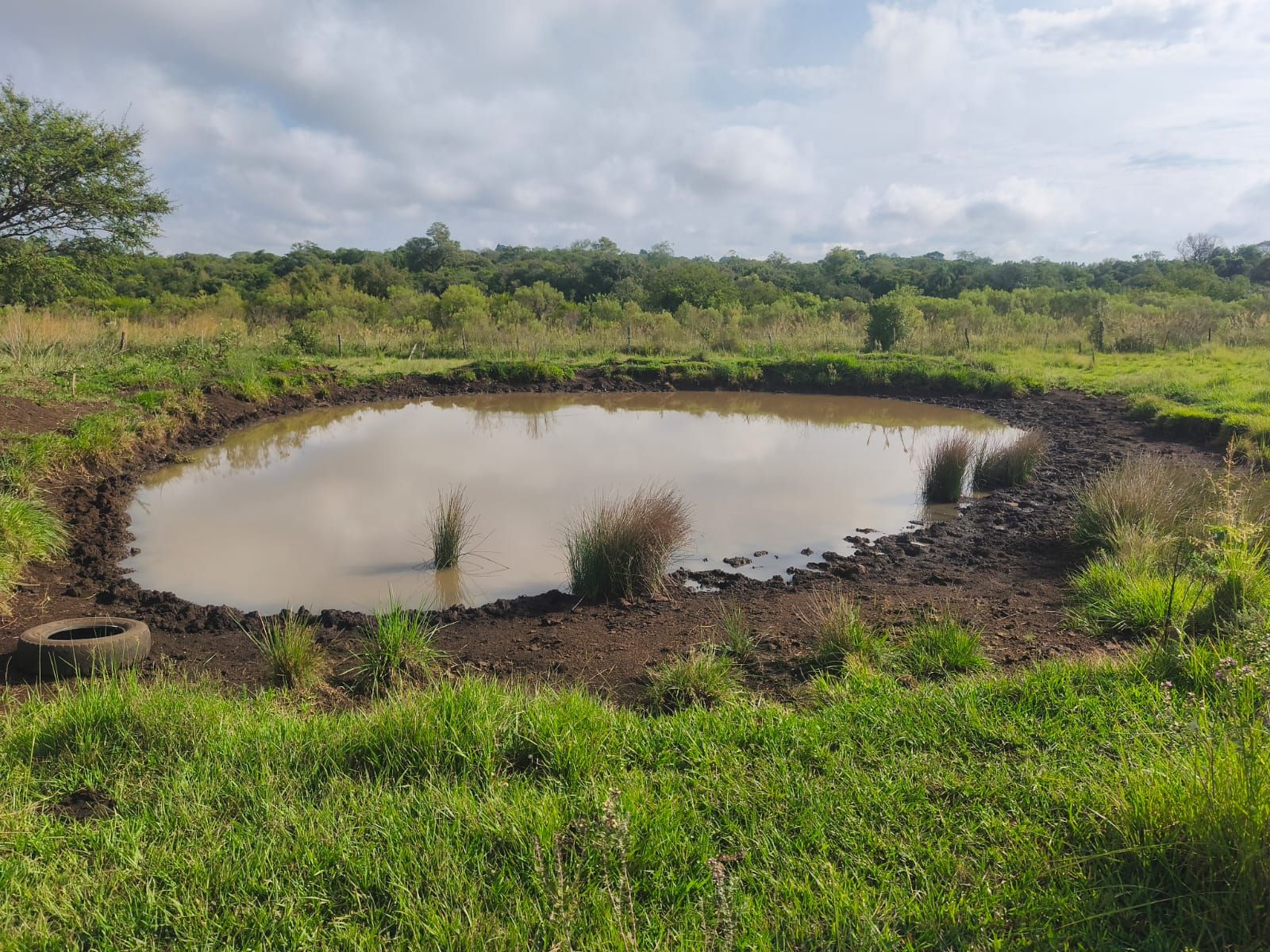 Venta de Campo de 25 Hectáreas en San José, Misiones Con Casa y Arroyo - 8