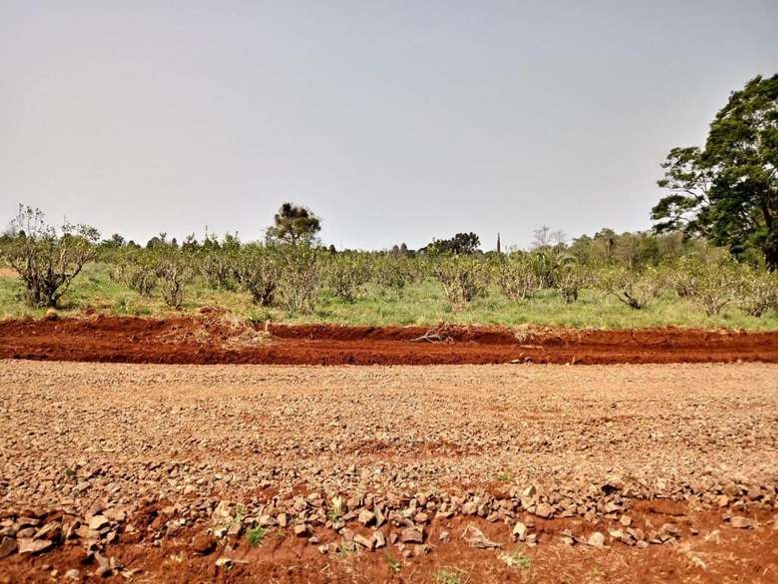 Lote 12 en esquina: más espacio, naturaleza y una vista privilegiada - 2