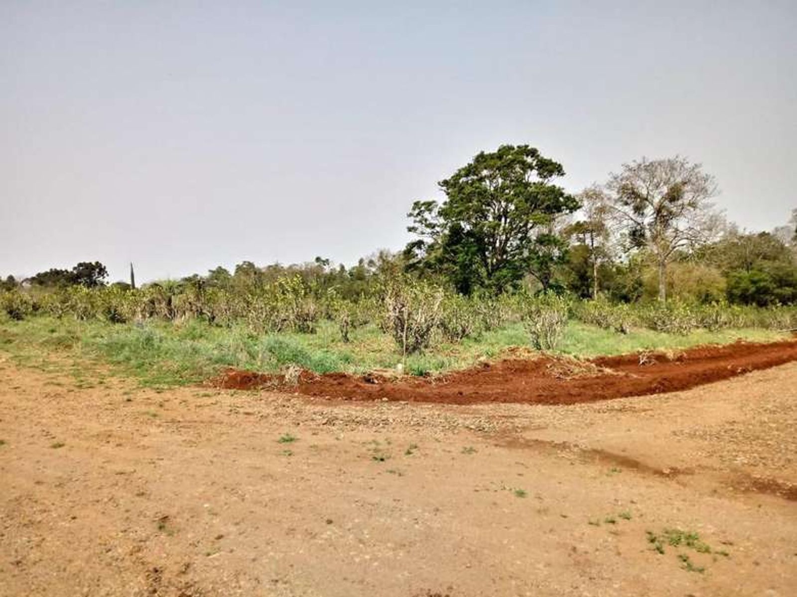 Lote 12 en esquina: más espacio, naturaleza y una vista privilegiada - 3